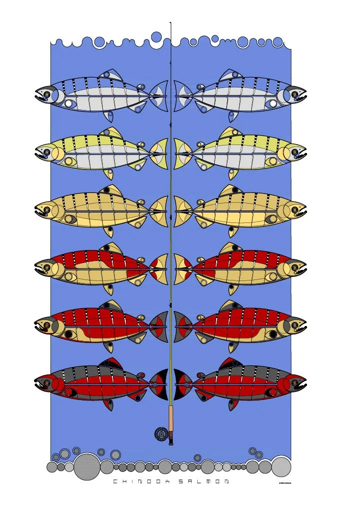 Chinook Salmon Metamorphosis