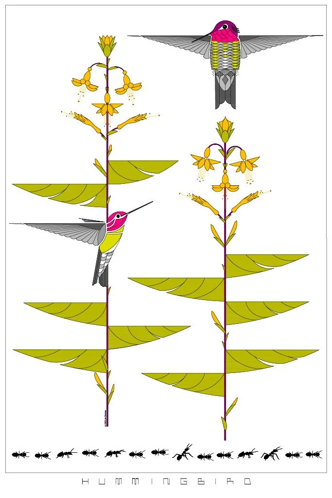 Hummingbird
