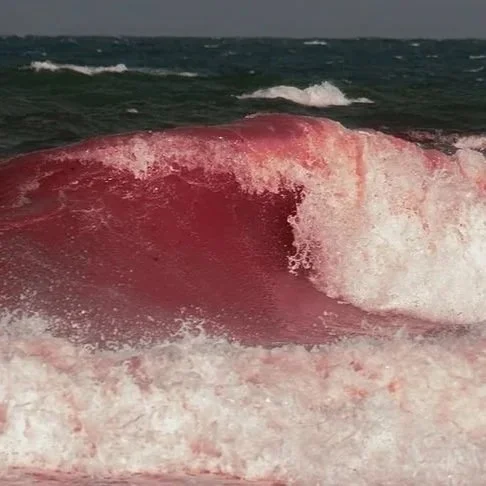 Boarding Your Body’s Stations