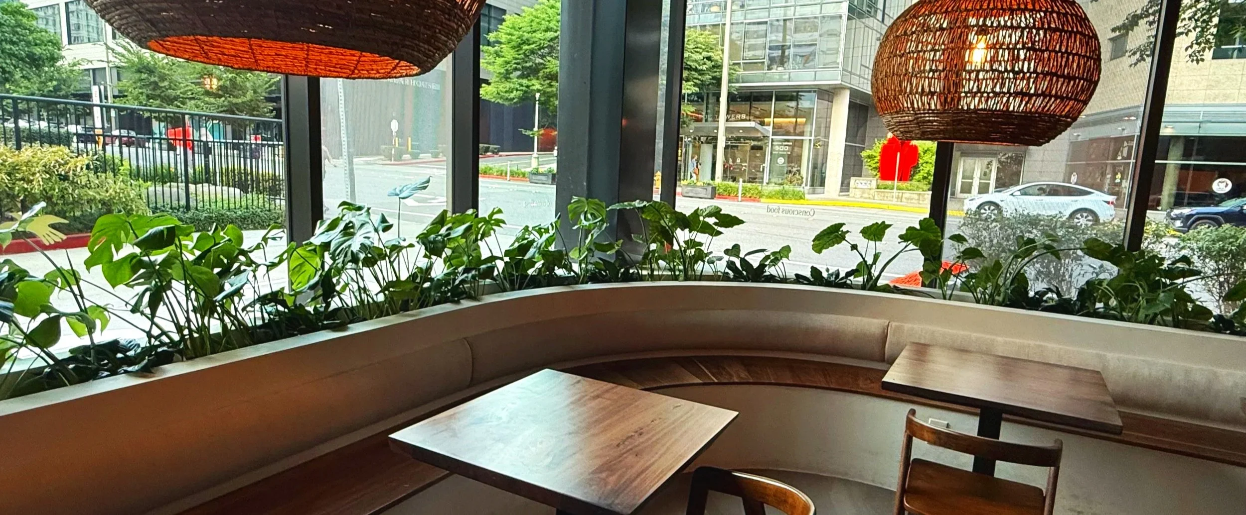 Cafe seating featuring monsteras, elephant ear colocasia, and peace lilies placed according to where the sun hits brightest.