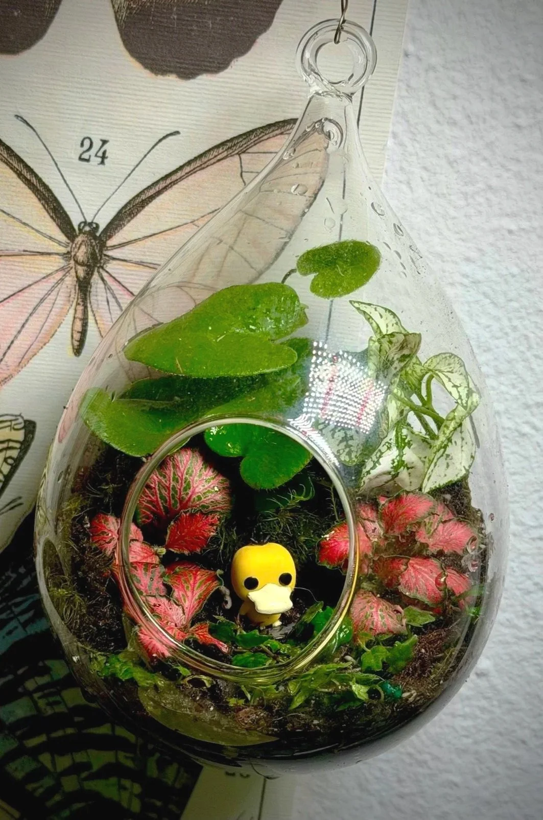 Psyduck