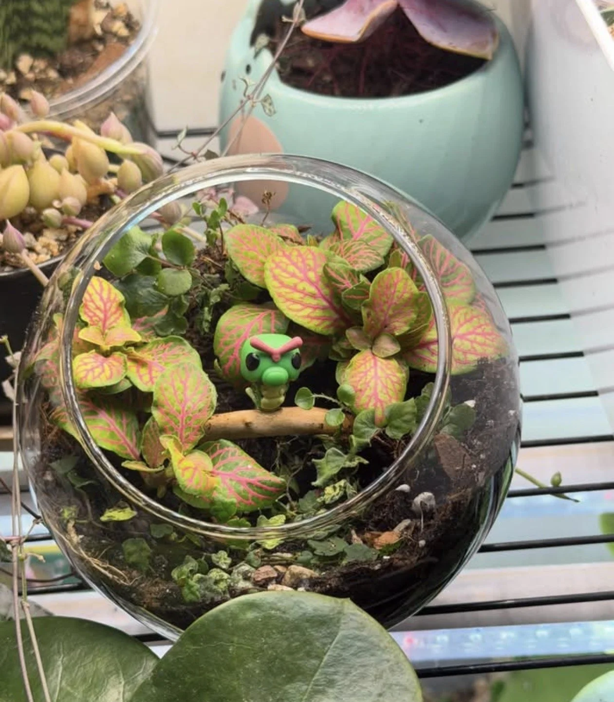 Caterpi