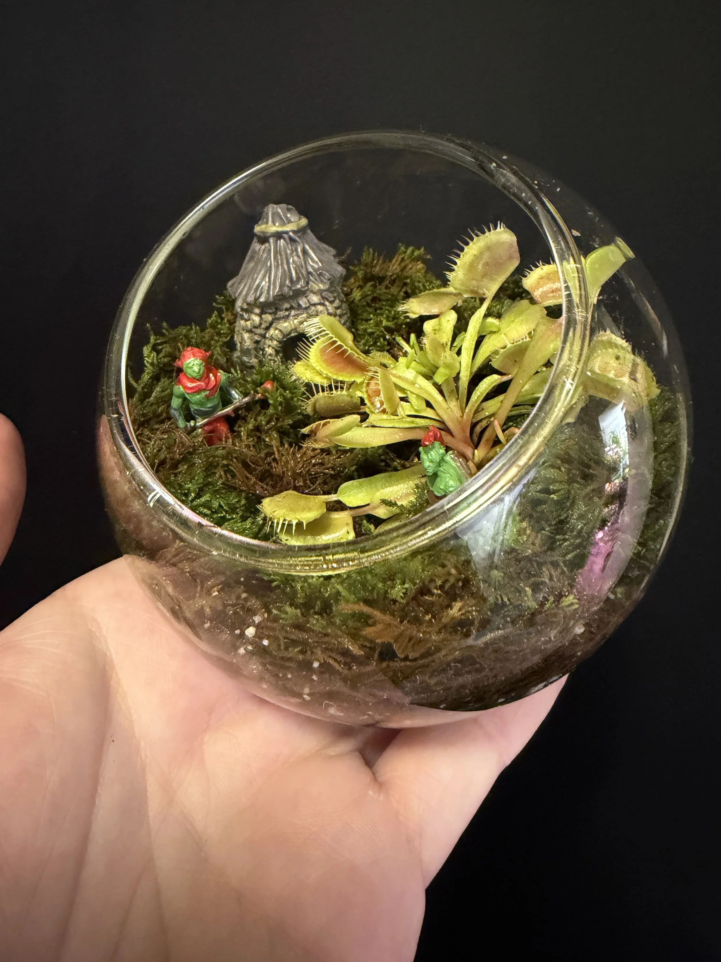 Terrarium or Vivarium Build