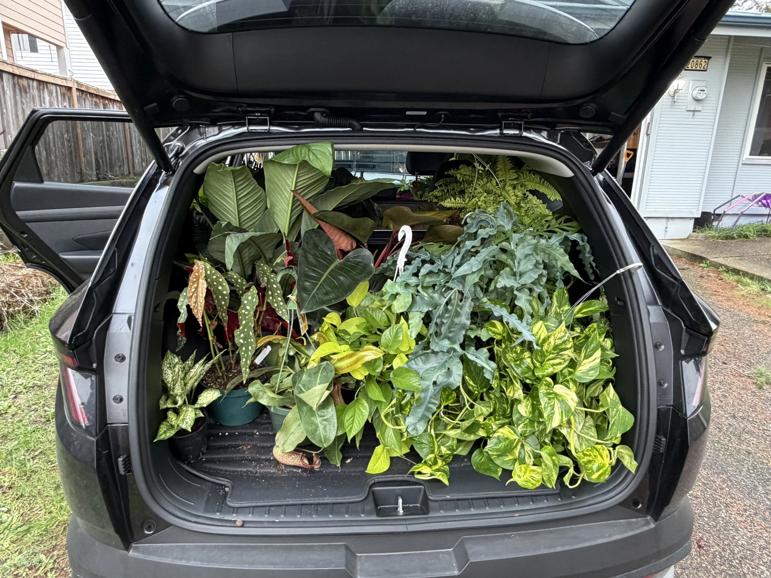 Additional Mileage for Plant Care Visit