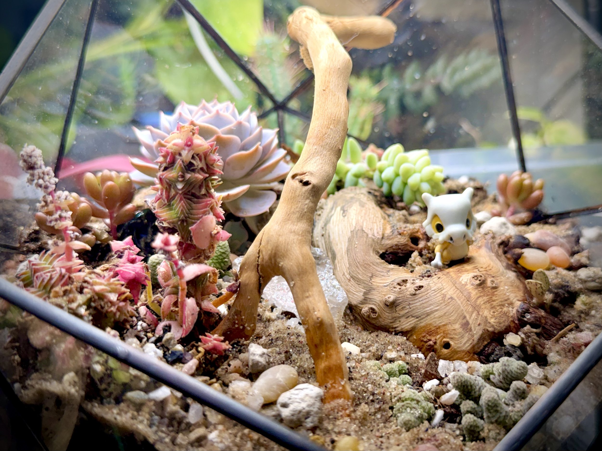 Cubone