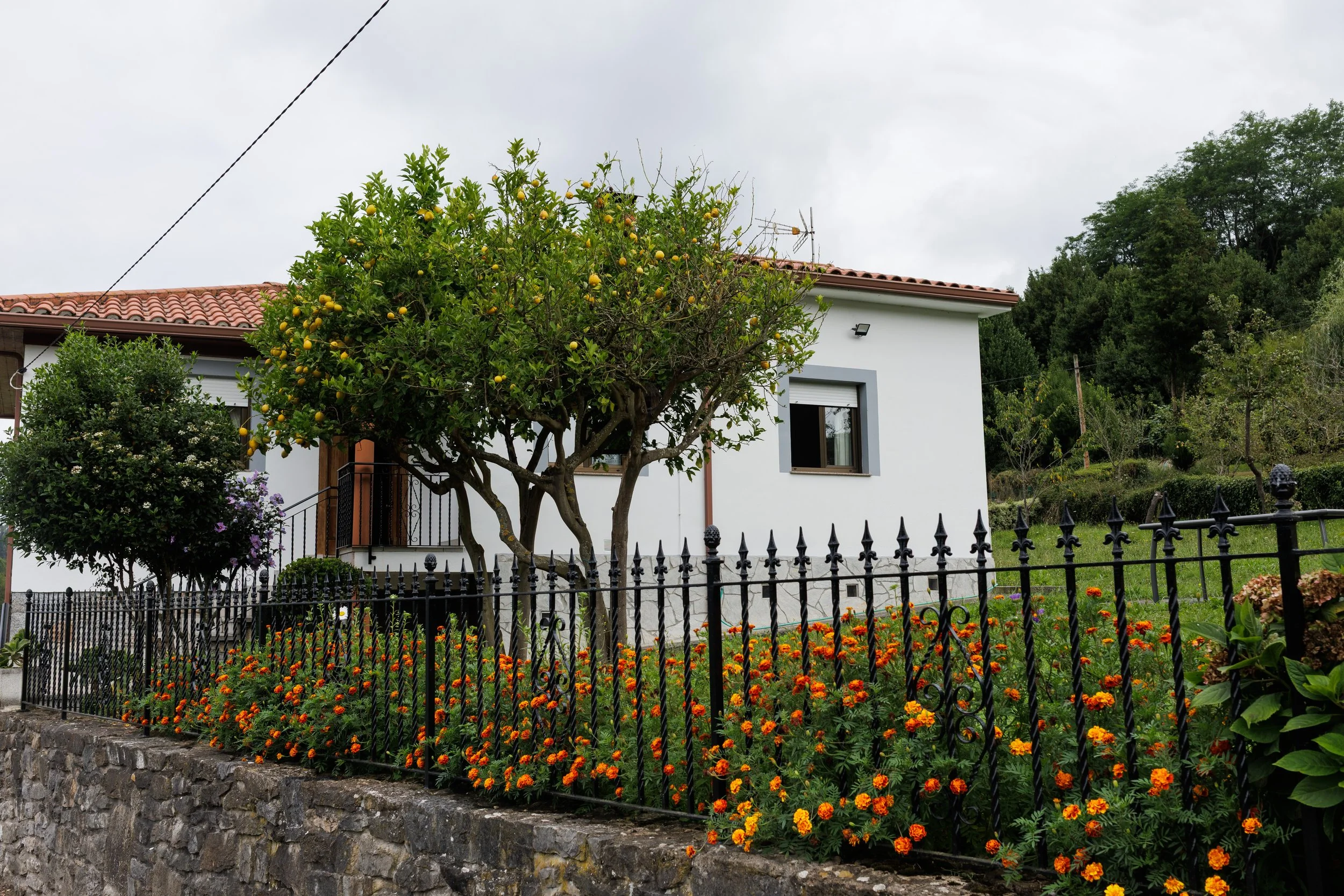 IMG_8646 copy (1).jpeg