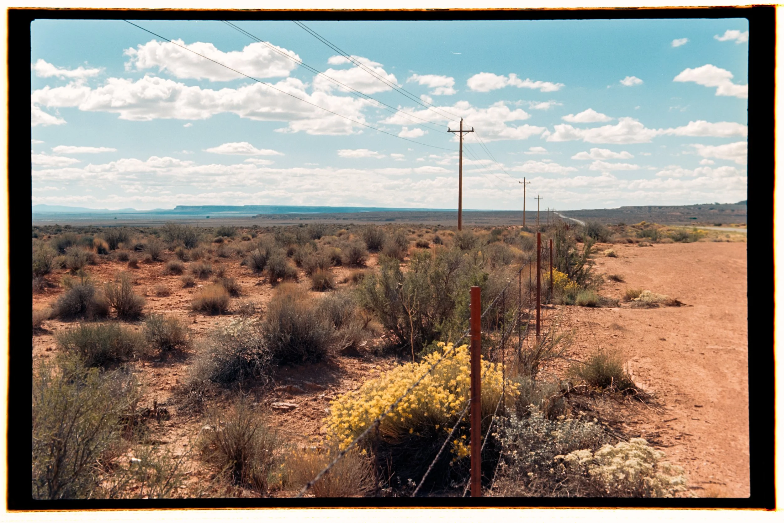 Poles - Kaibab, Arizona