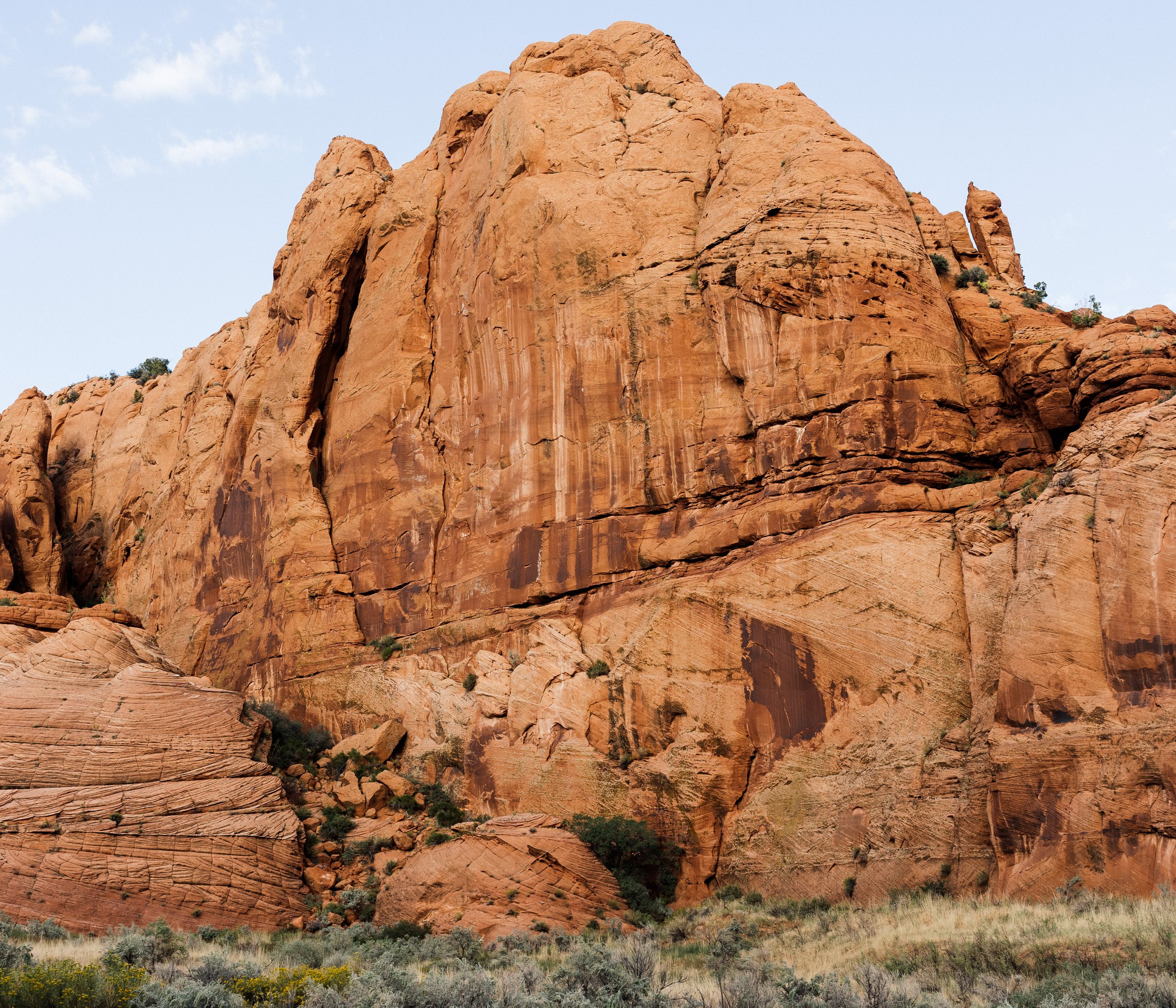 IMG_0483 copy (1).jpg