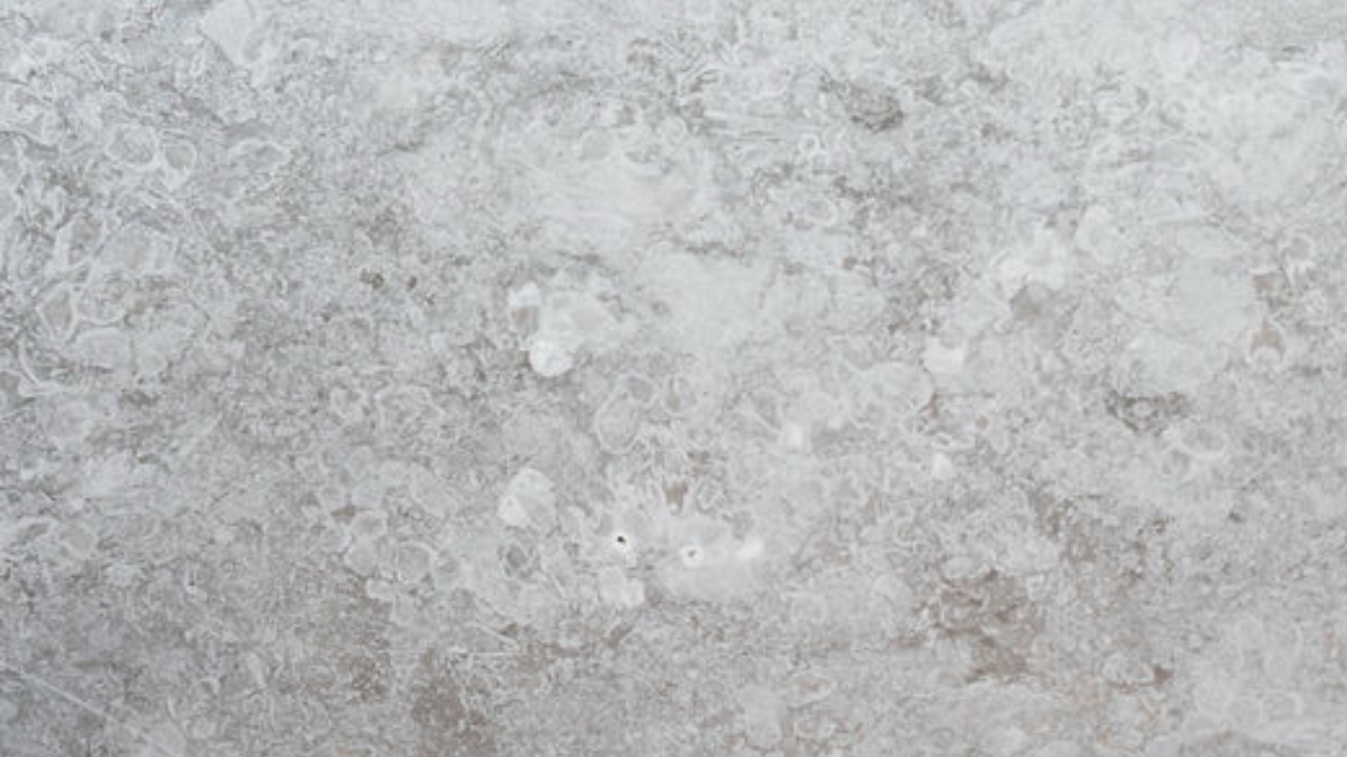 CALIZA Stone Honed