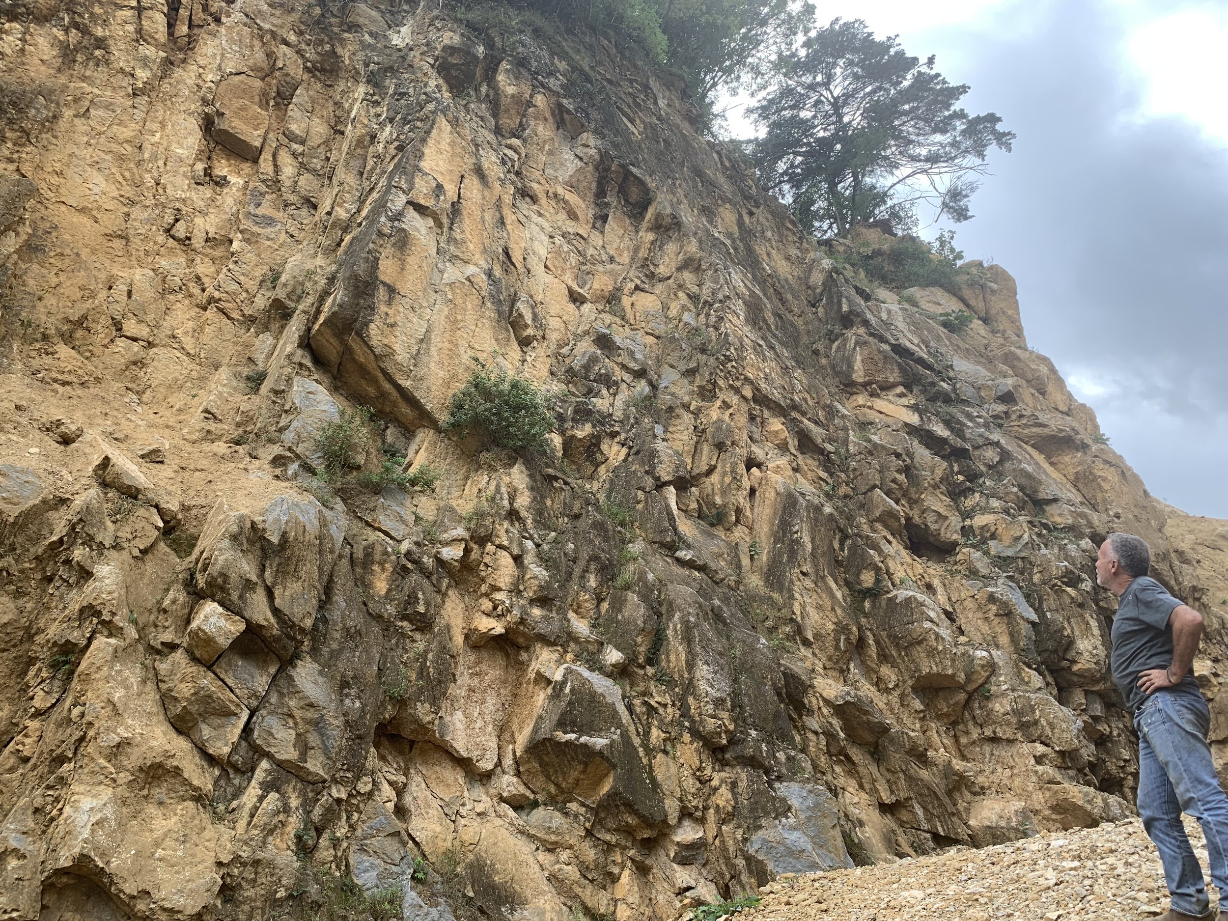 A man in a gray shirt and jeans looking up at a large rocky cliffside with sparse vegetation and trees at the top. Limestone quarry