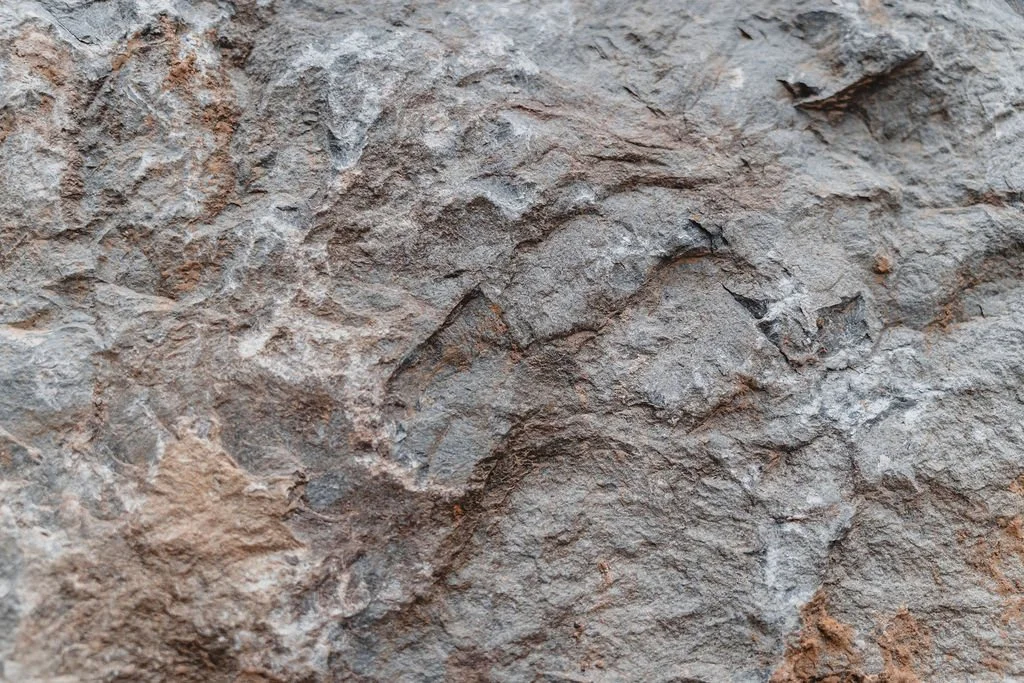AZC07894.jpg