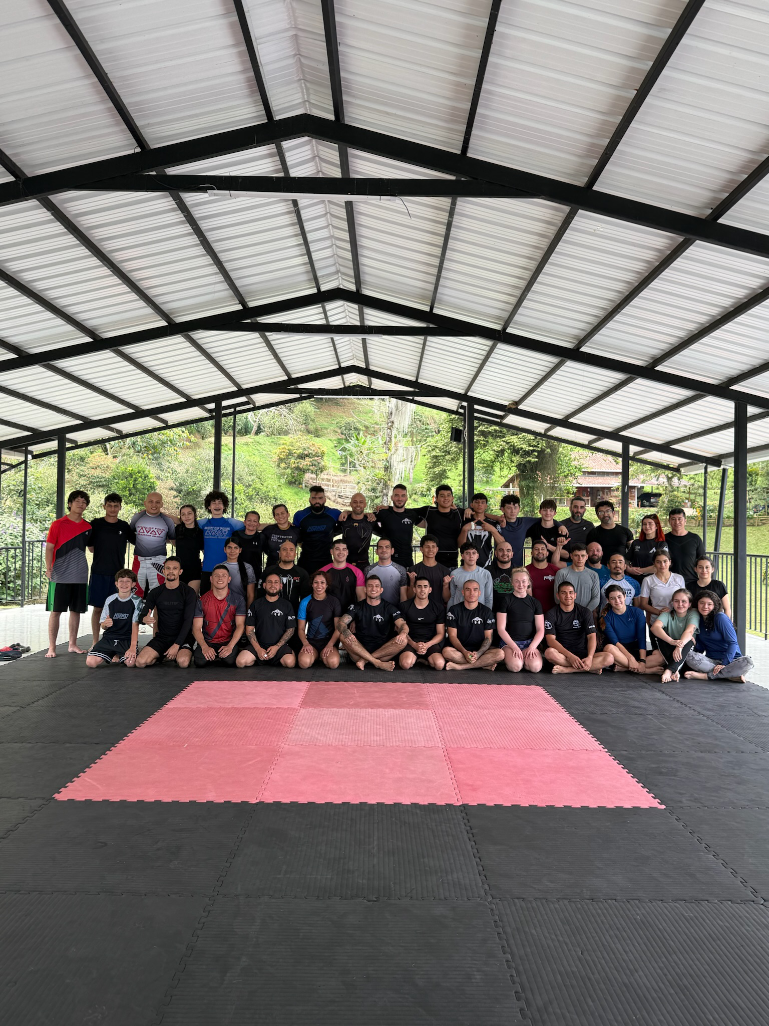 BJJ.png