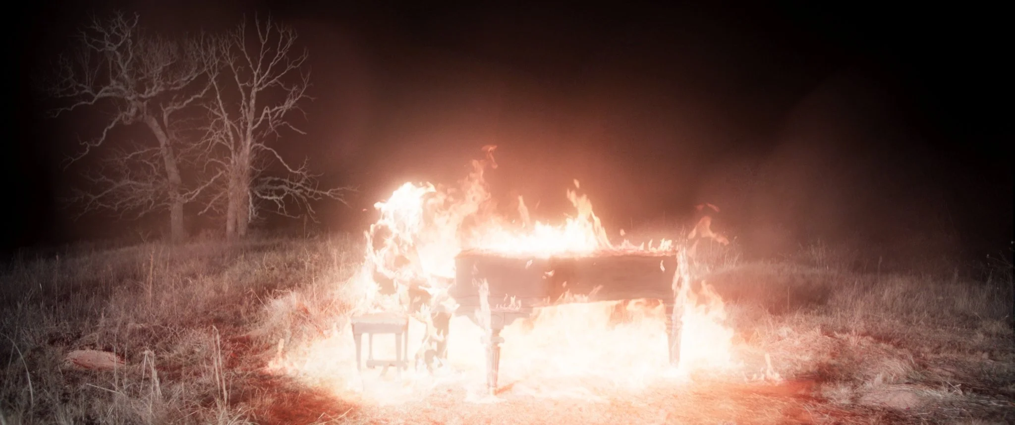 Bloodstained Ivory (2025)