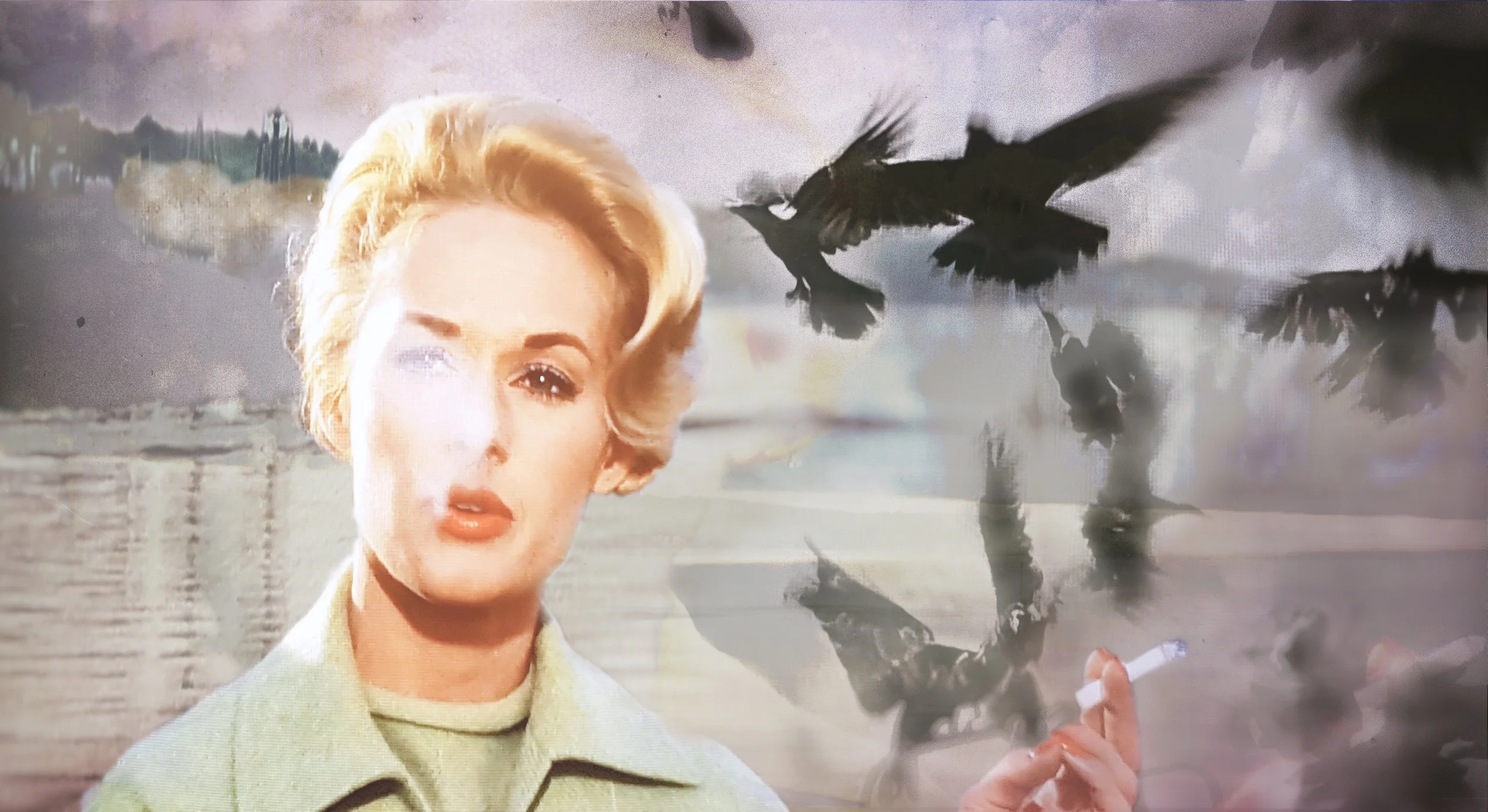 birdscollage.jpg
