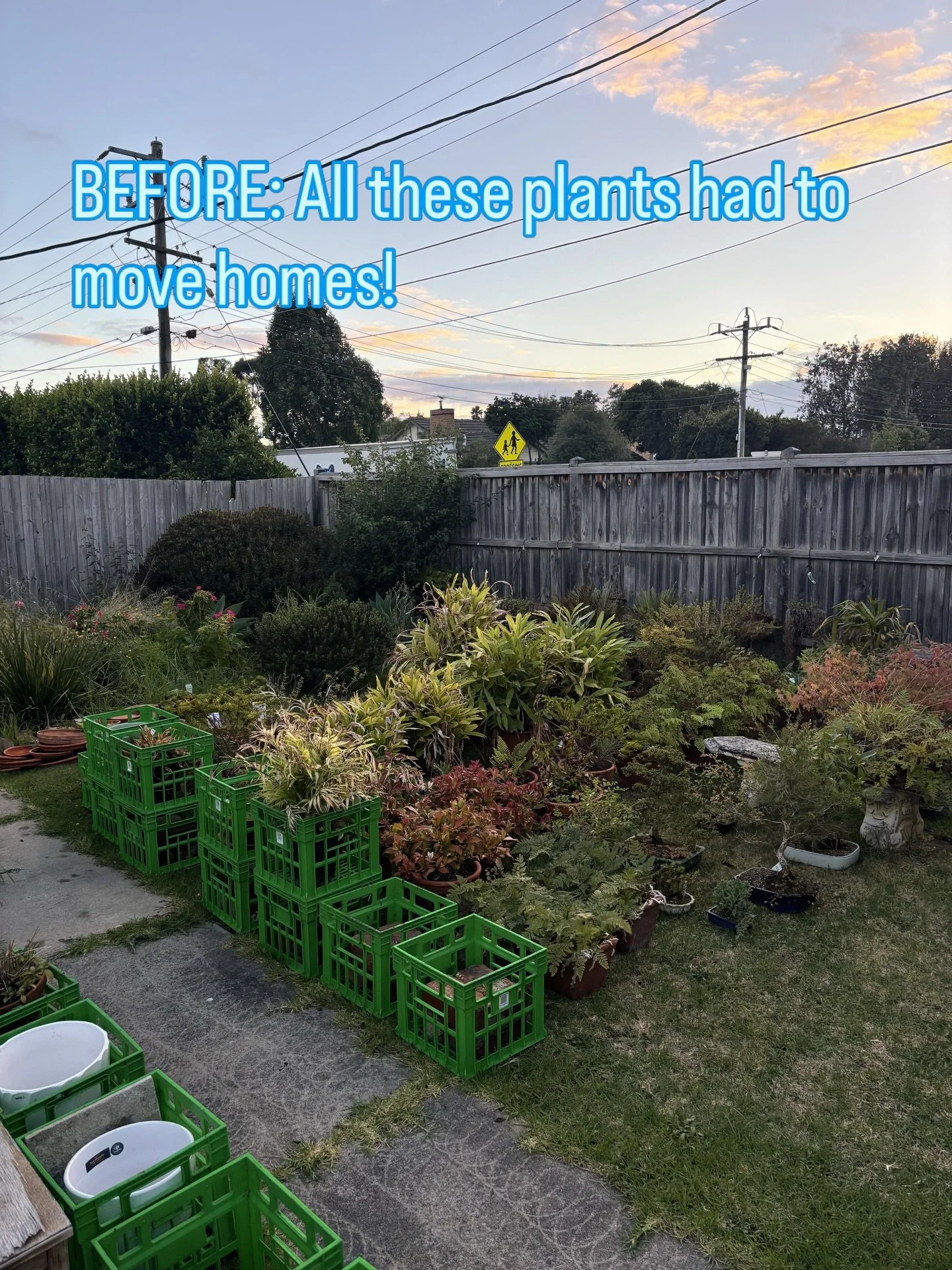 Before ➡️ After

From a backyard full of pot plants and garden beds to a clean, open space ready for the next chapter.

Moves like this take planning, care and a lot of lifting, especially when every plant needs to arrive safely. 🌿

Another happy mo