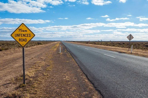 A truck with the logo 'Cool Cat Removals' parked in a driveway, with a house and tall cypress trees in the background.