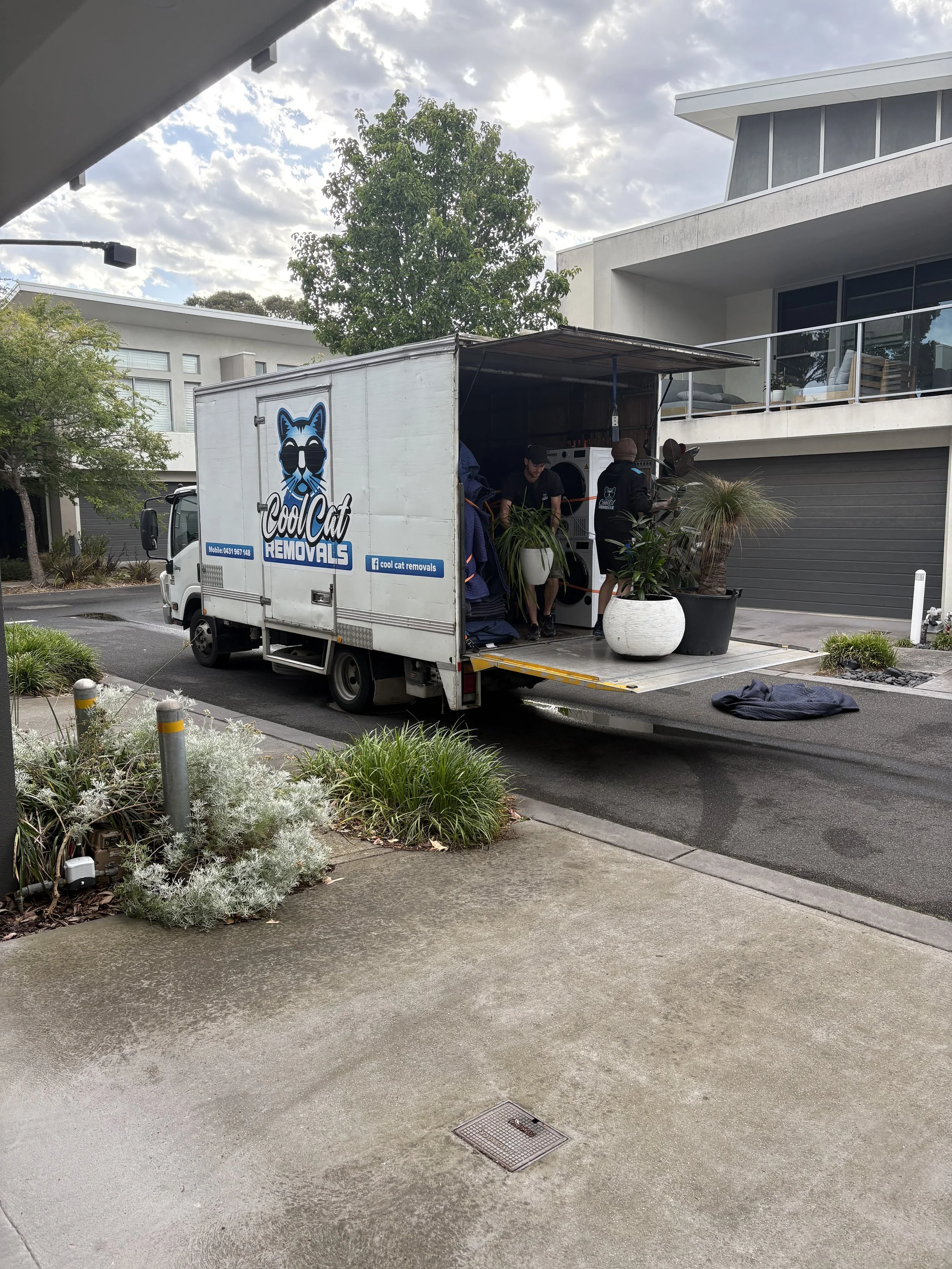 Information graphic titled 'Why Choose Cool Cat Removals?' with icons and text listing reasons: handling fragile items with premium blankets and shrink wrap, professional movers caring for your home, and clear, honest pricing.