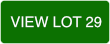 Lot 29