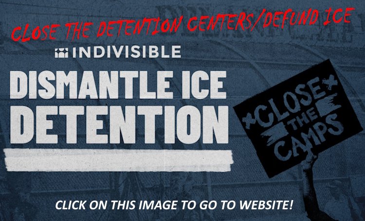 Dismantle Ice Detention