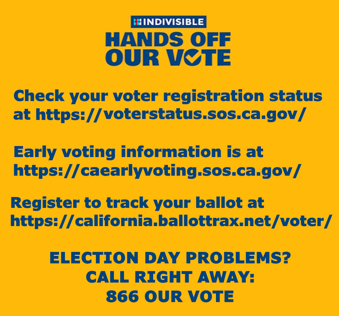 Hands Off Our Vote