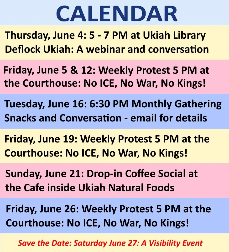 Spend Some Time With Indivisible Ukiah!