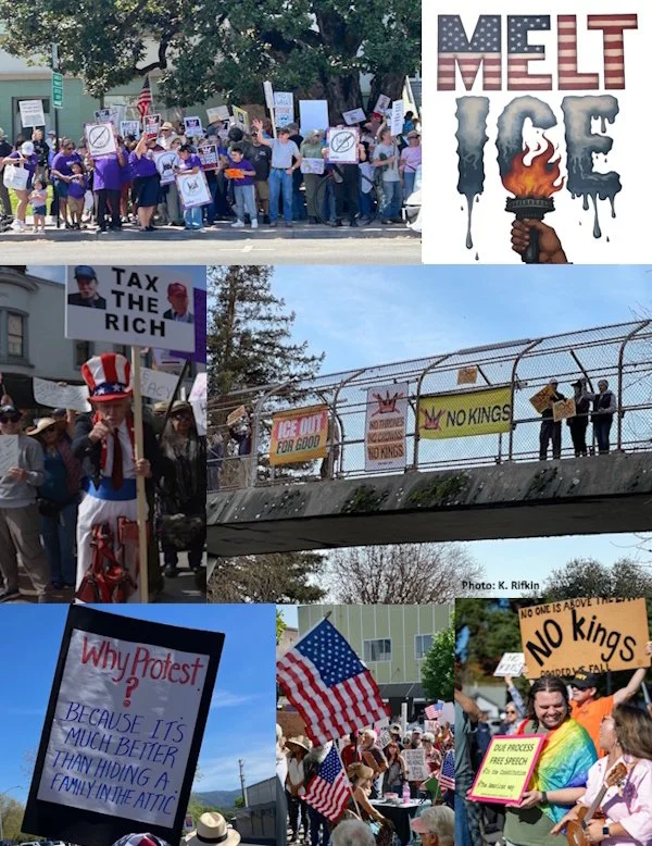 Indivisible Ukiah Stands For Democracy