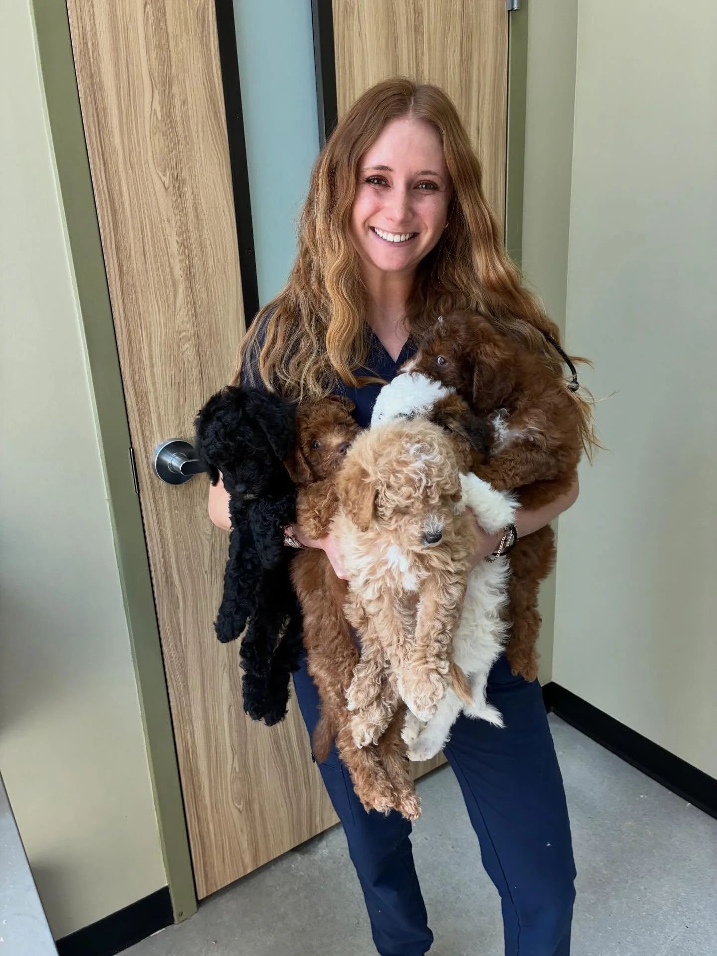 &ldquo;What does your perfect Friday look like?&rdquo; 

Well, for Dr. Margol it looks like 5 healthy (&amp; SNUGGLY) puppies. 

Early veterinary care is essential for puppies to help ensure they grow into healthy adults.  Routine visits allow for va