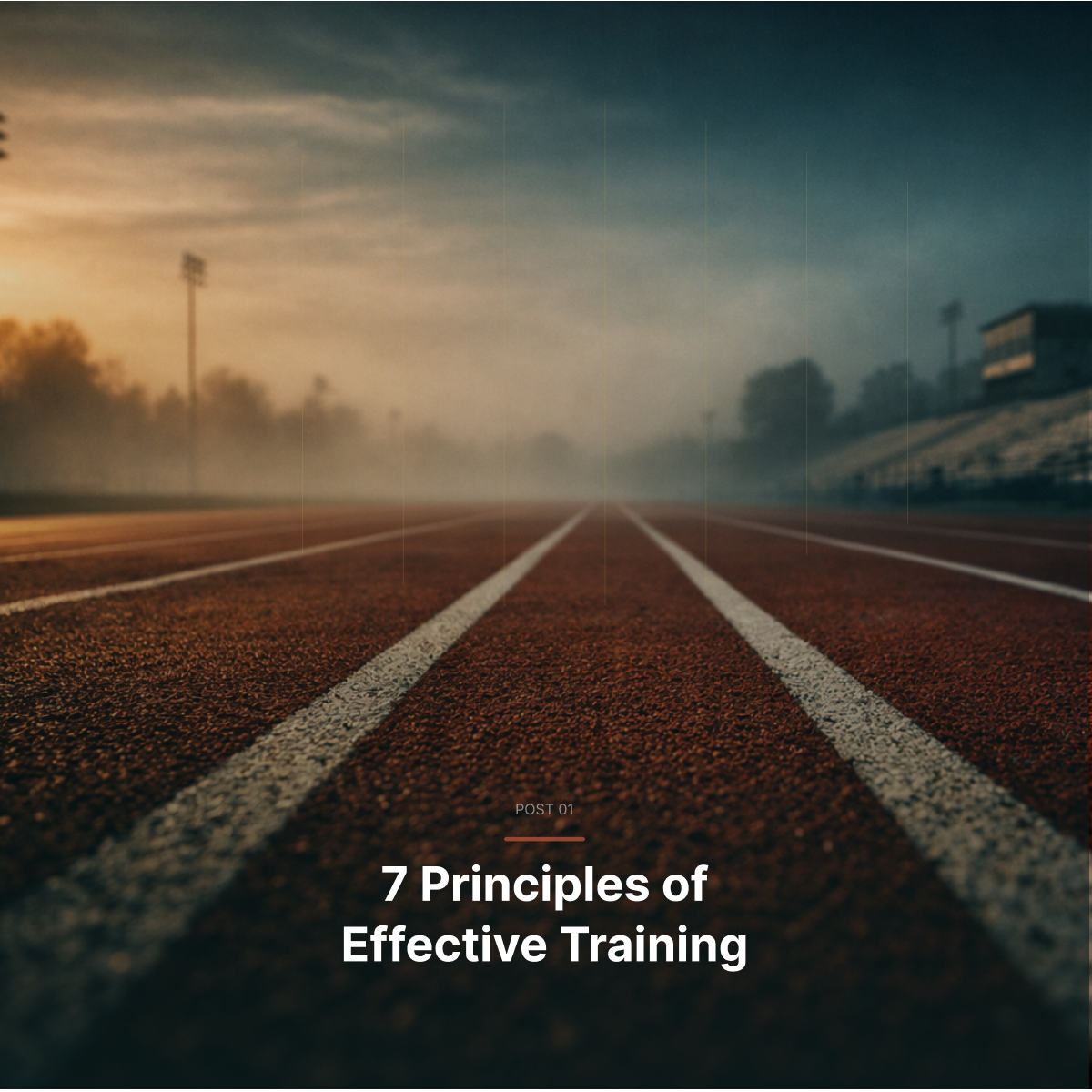7 Principles of Effective Training 