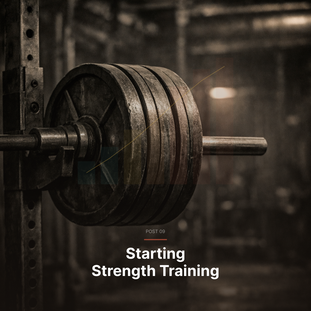 Starting Strength Training at EO VITA