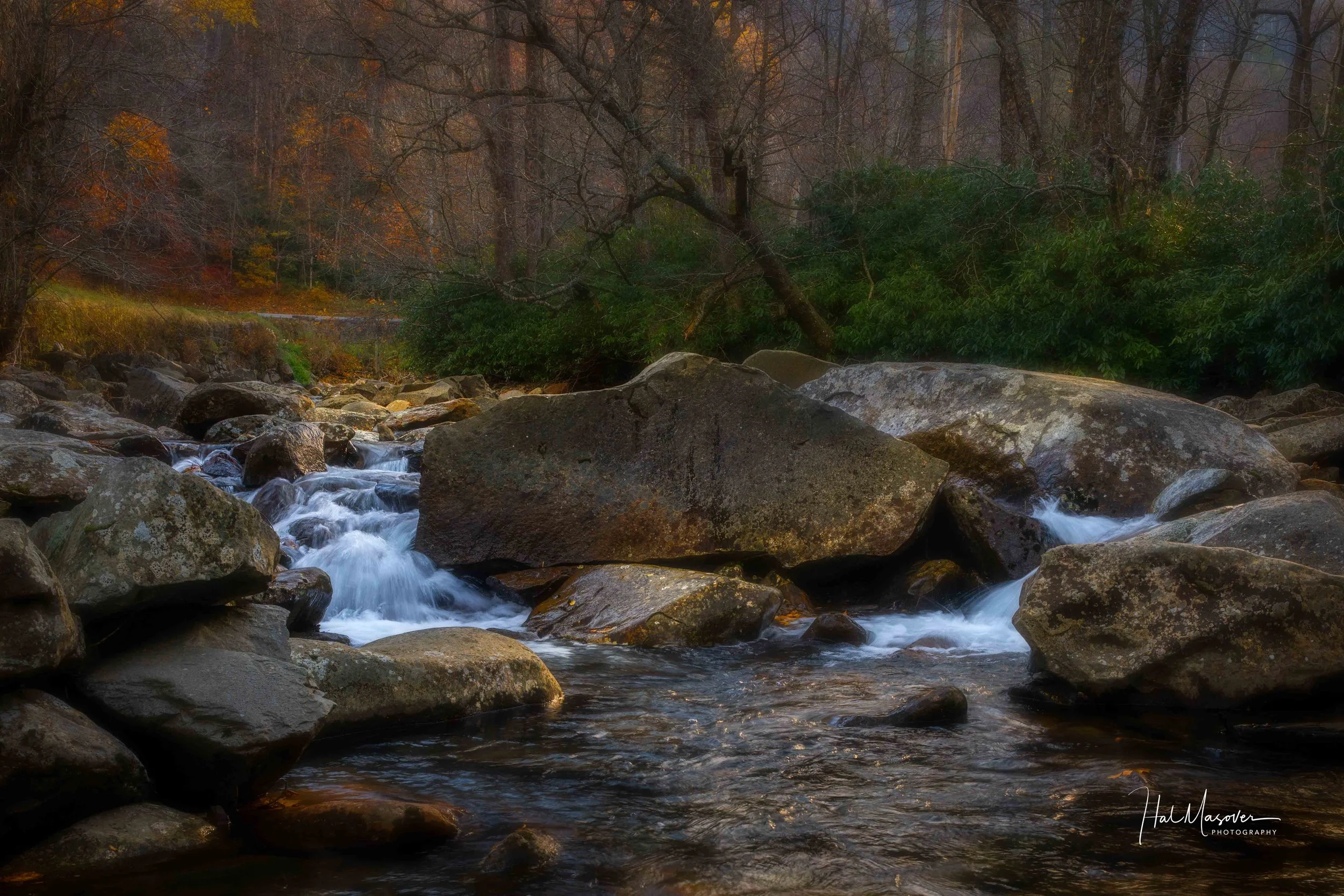 Hal Masover Photography-2.jpg