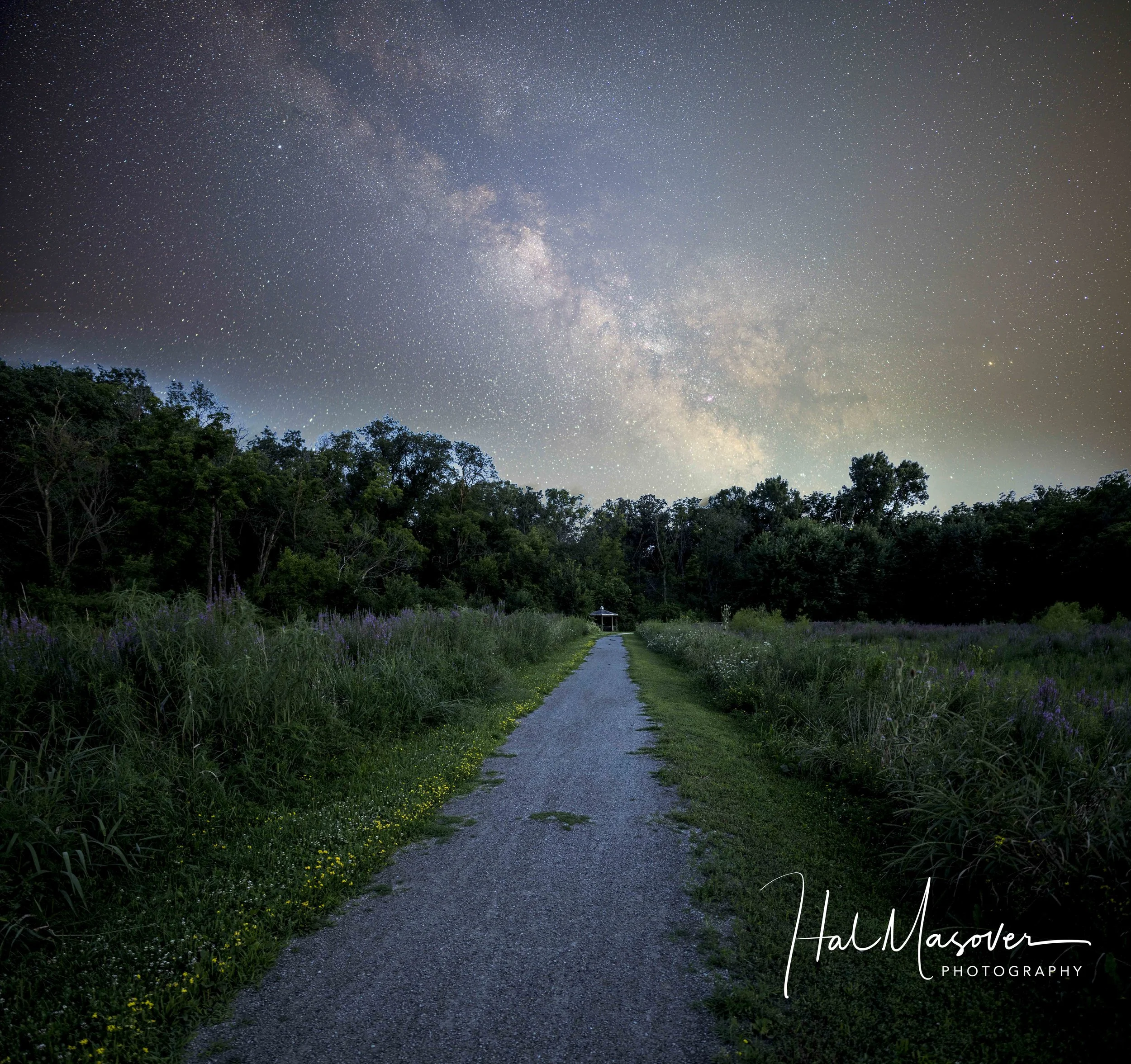 Hal Masover Photography-1-17.jpg