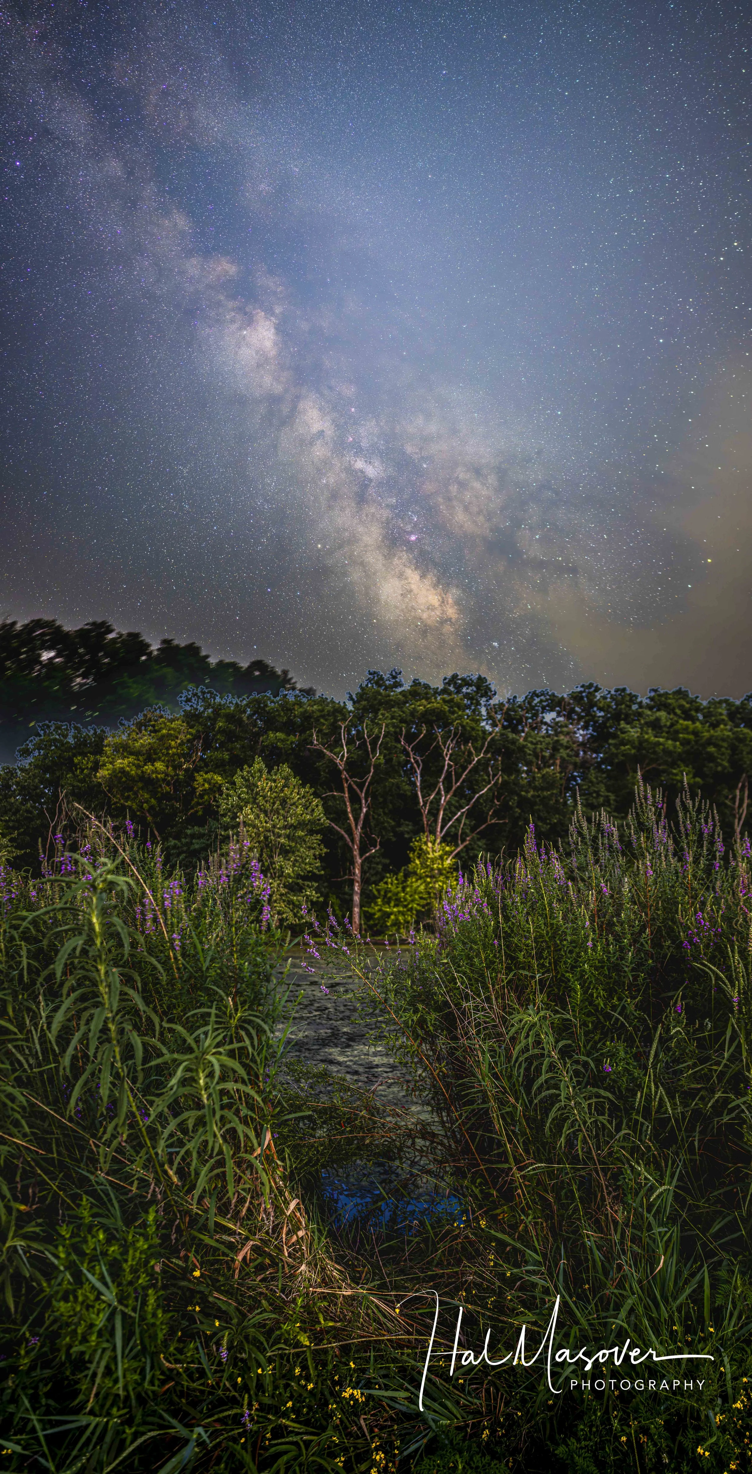 Hal Masover Photography-1-16.jpg