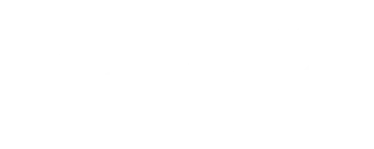 sentry-white-logo.webp