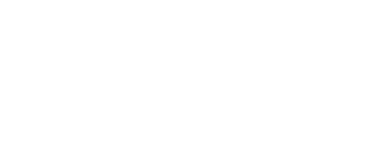 picerne-group-white-logo.webp