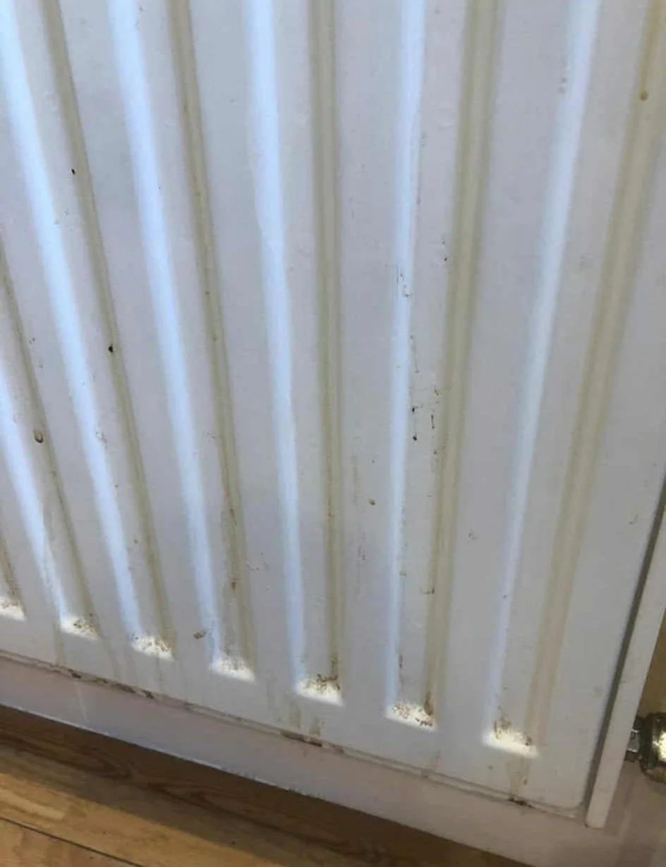 HeaterDirty.jpeg