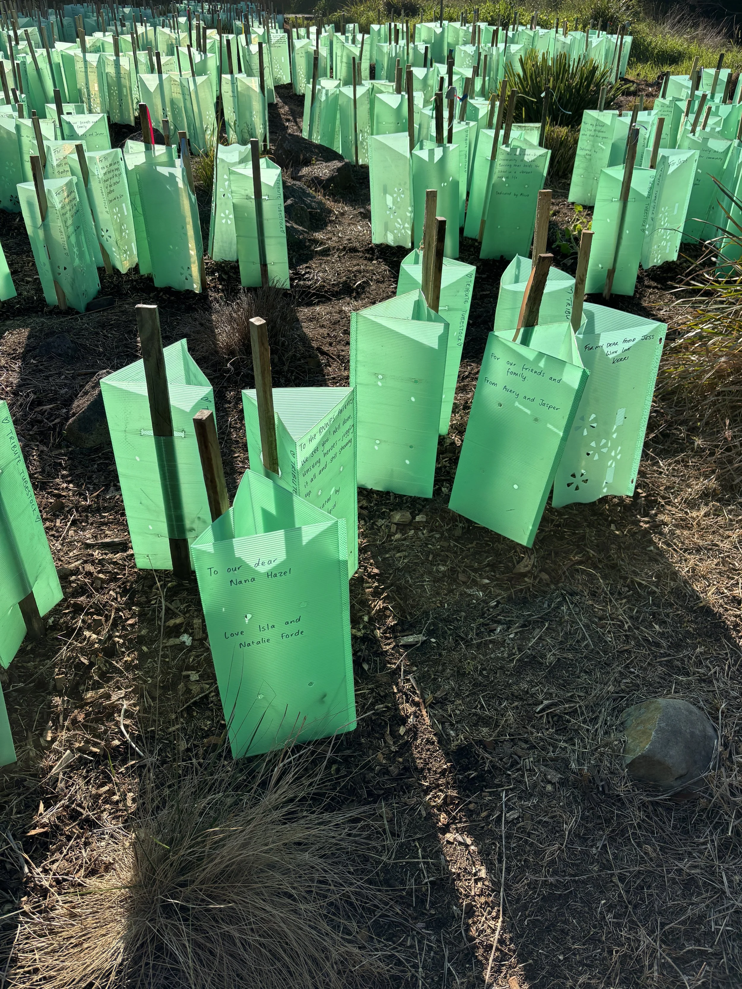 Tubestock Tributes at Yakai Barring, 9 August 2025