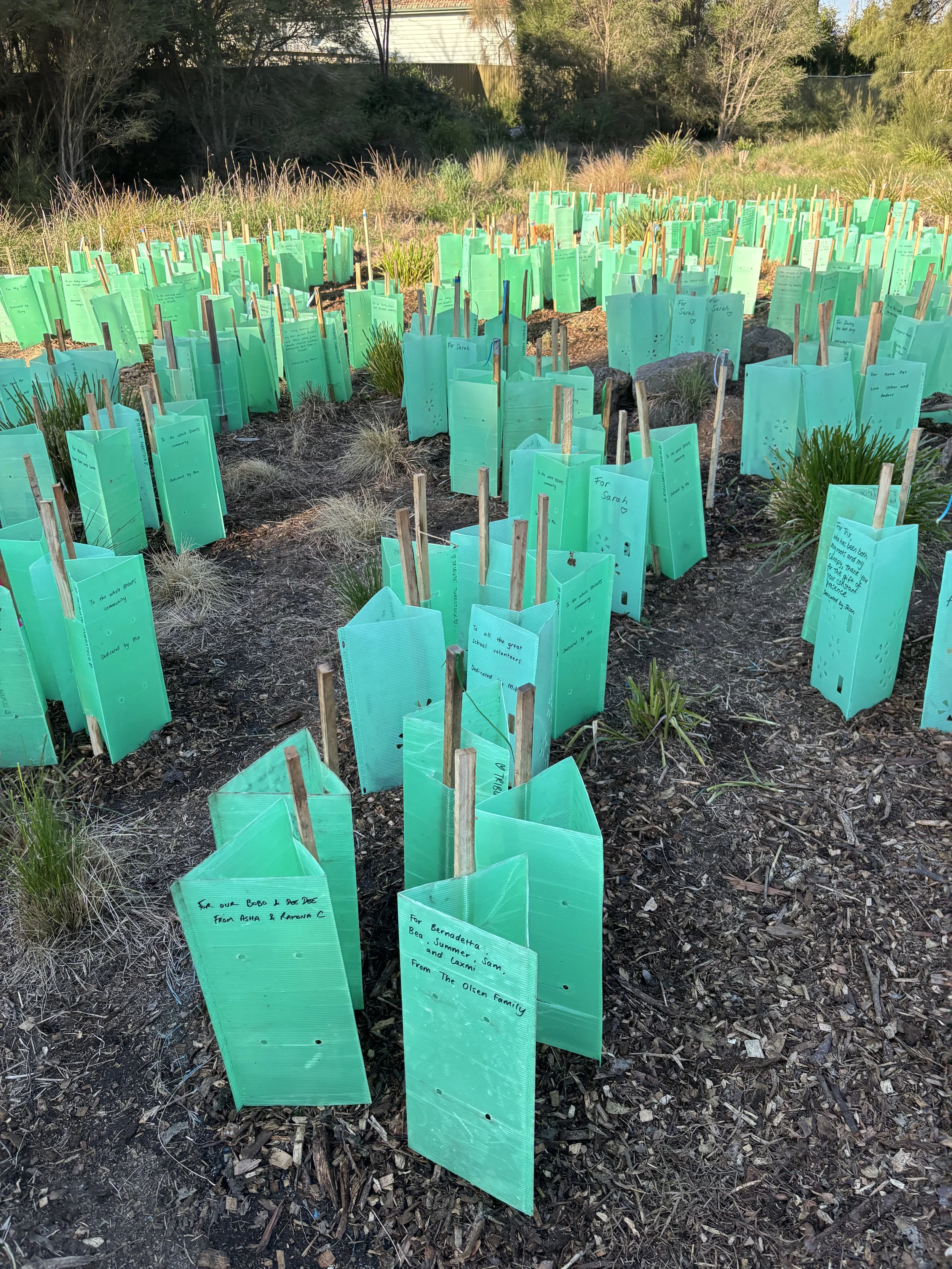 Tubestock Tributes at Yakai Barring, 9 August 2025