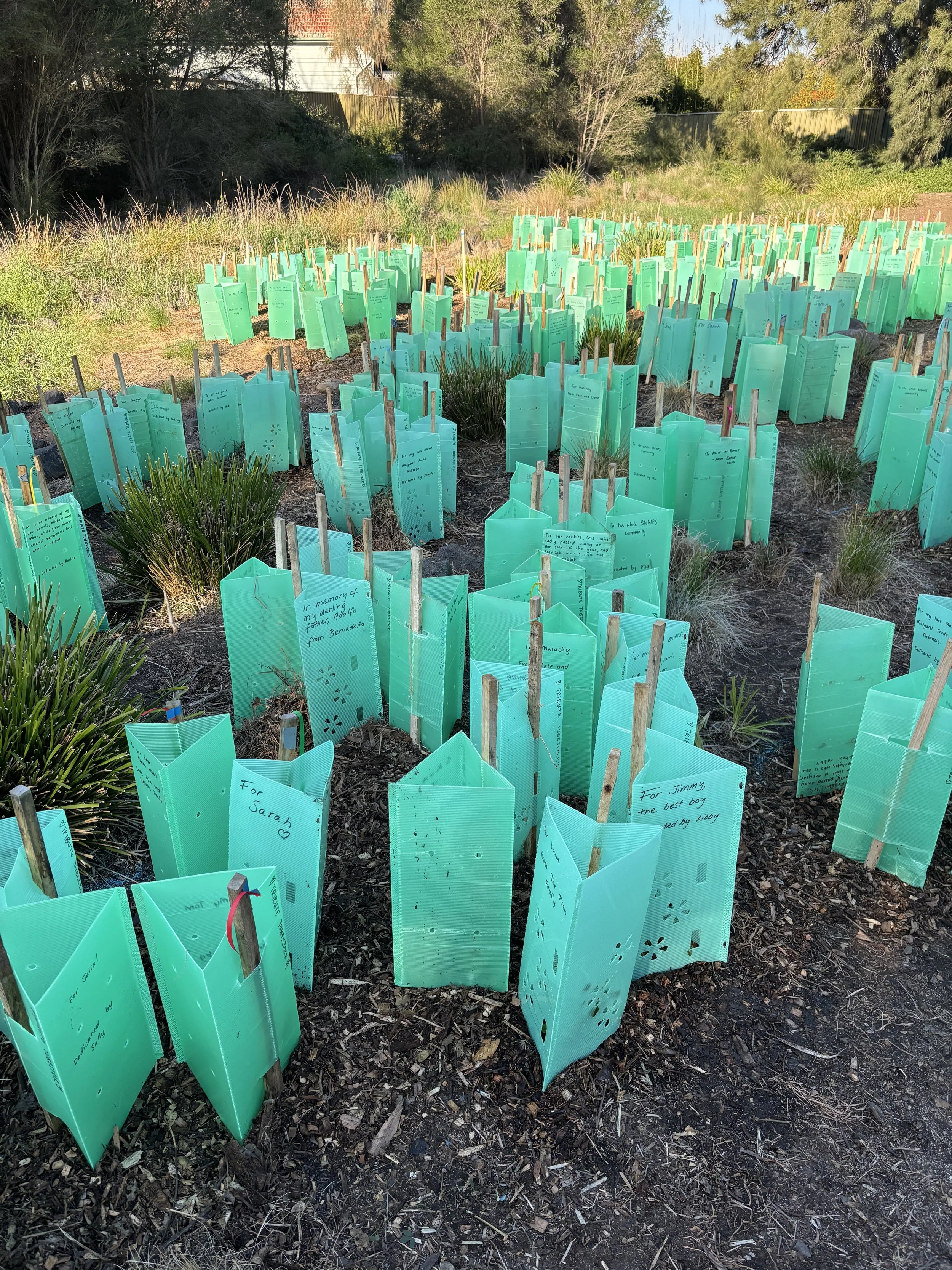 Tubestock Tributes at Yakai Barring, 9 August 2025