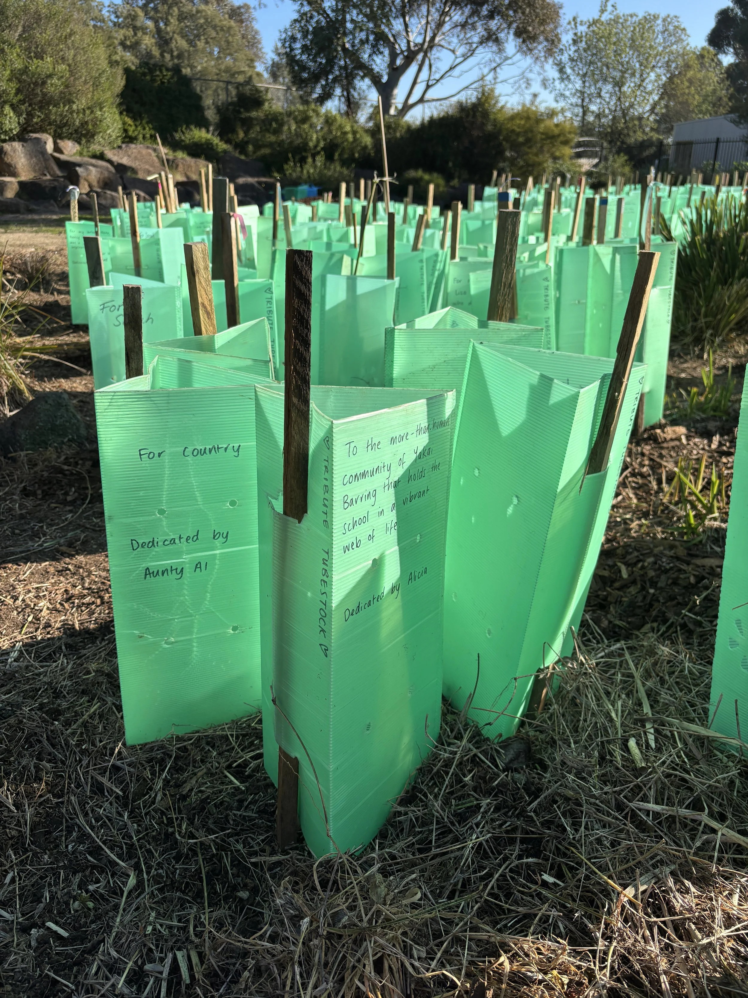 Tubestock Tributes at Yakai Barring, 9 August 2025