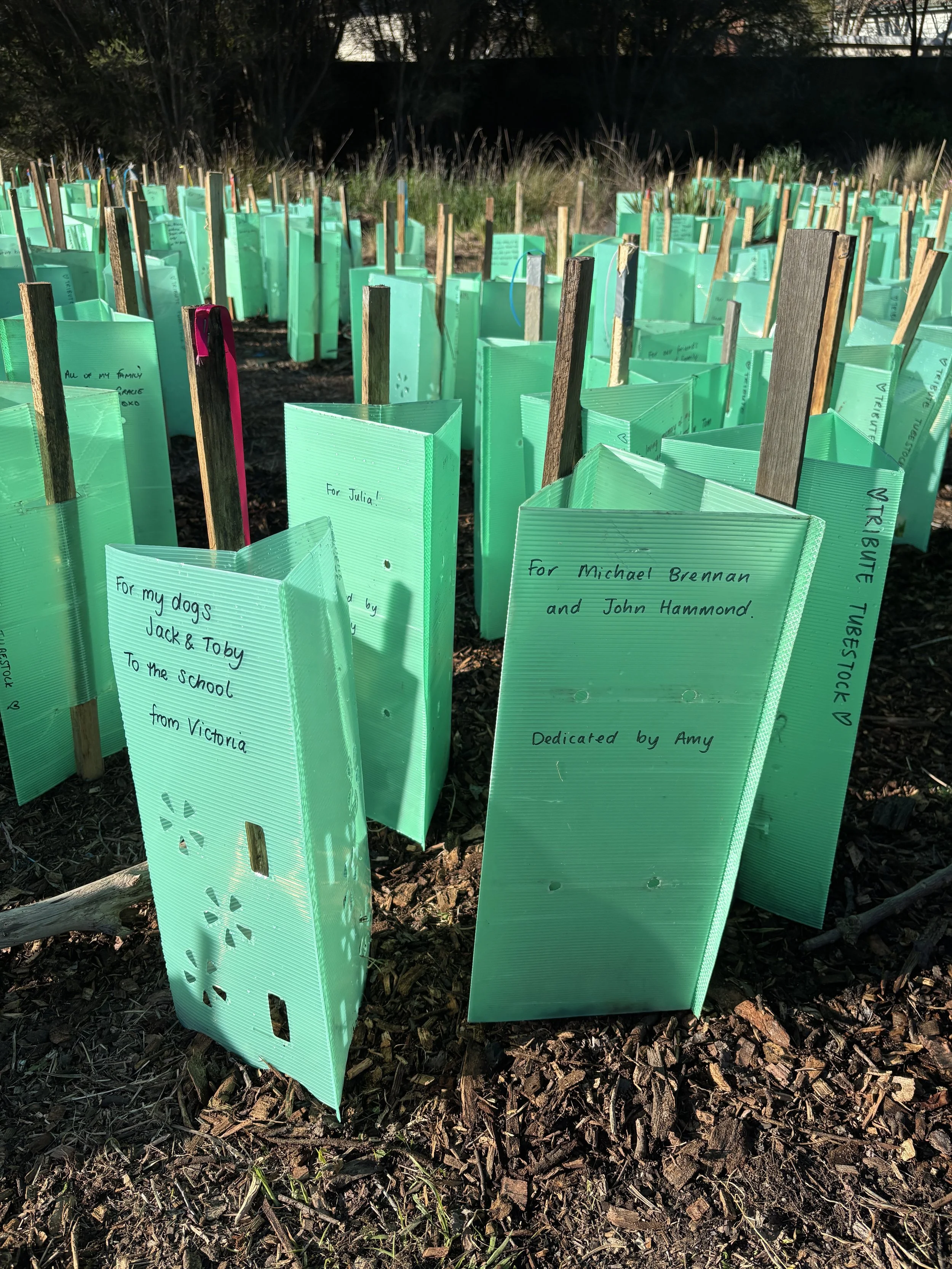 Tubestock Tributes at Yakai Barring, 9 August 2025