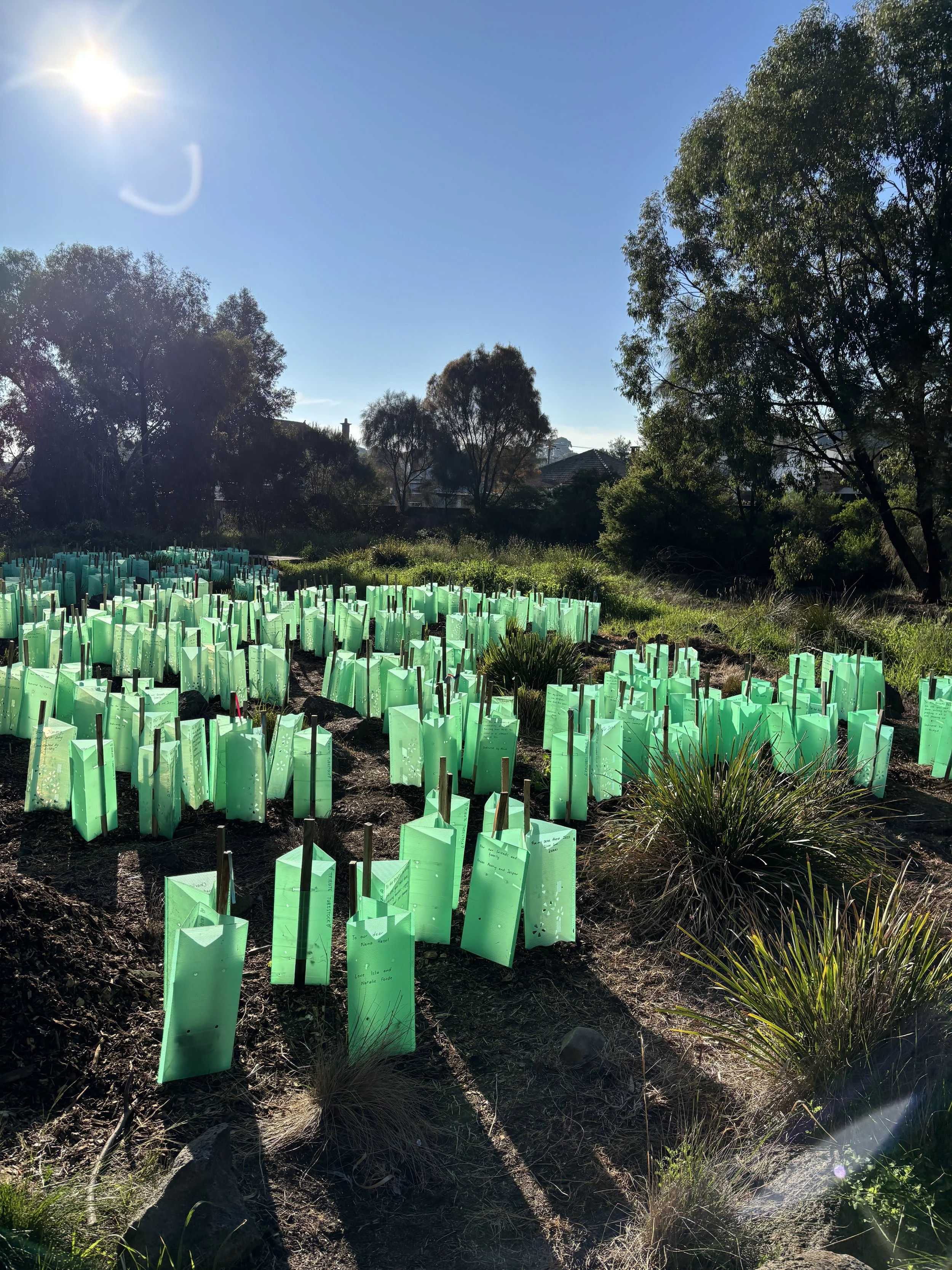 Tubestock Tributes at Yakai Barring, 9 August 2025