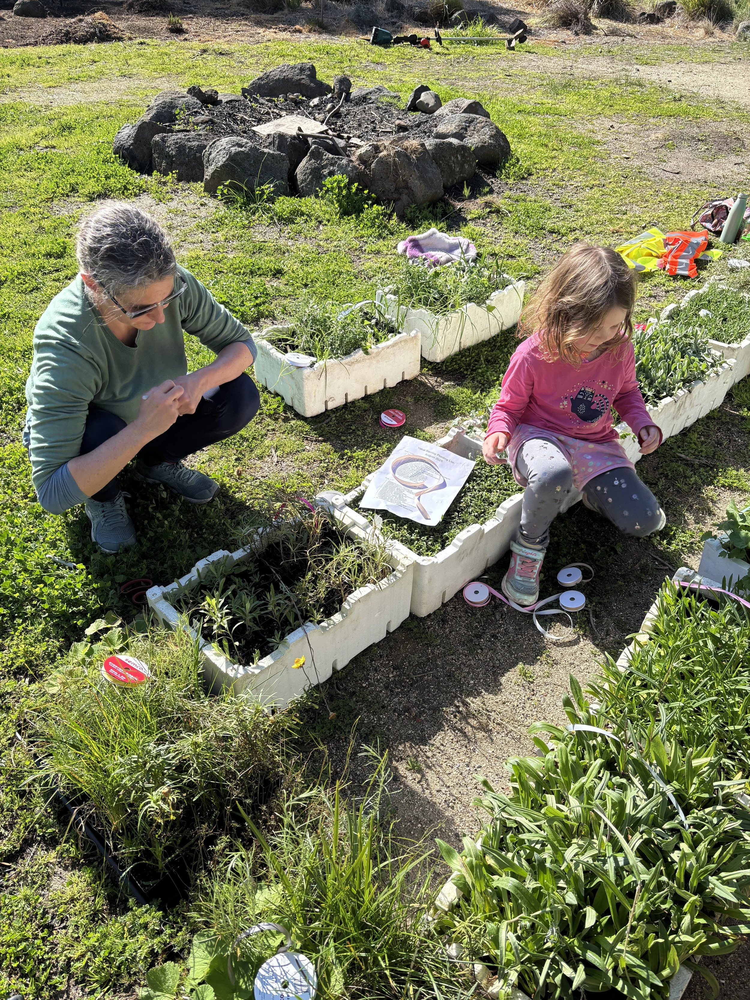 Tubestock labelling - preparing for Community Planting Day at Yakai Barring! 9 August 2025