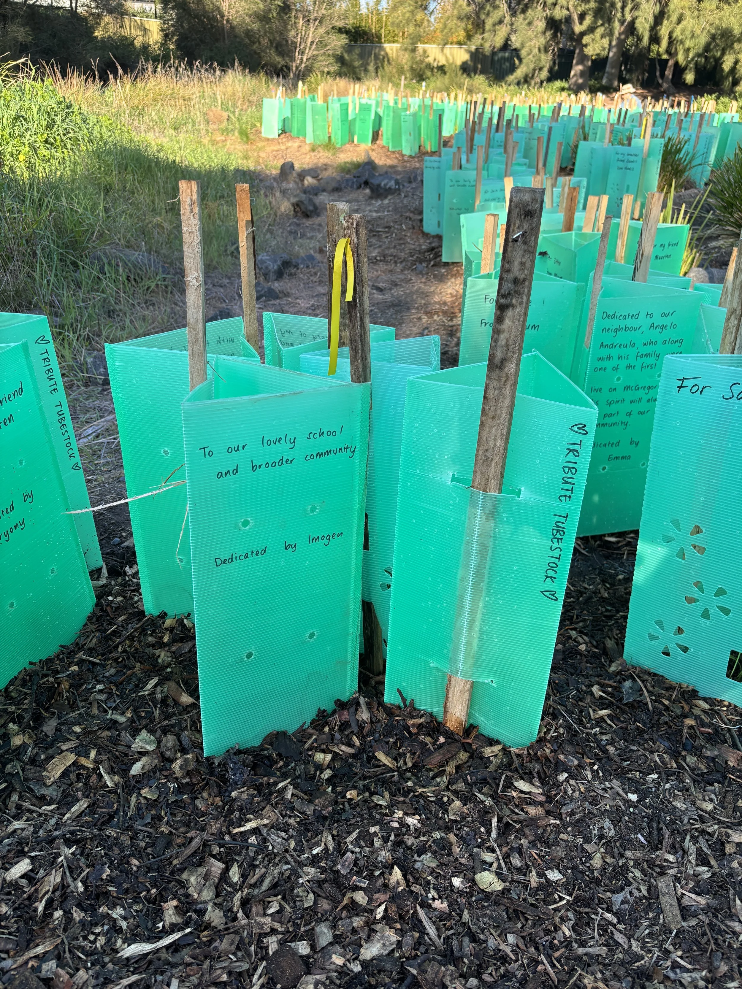 Tubestock Tributes at Yakai Barring, 9 August 2025