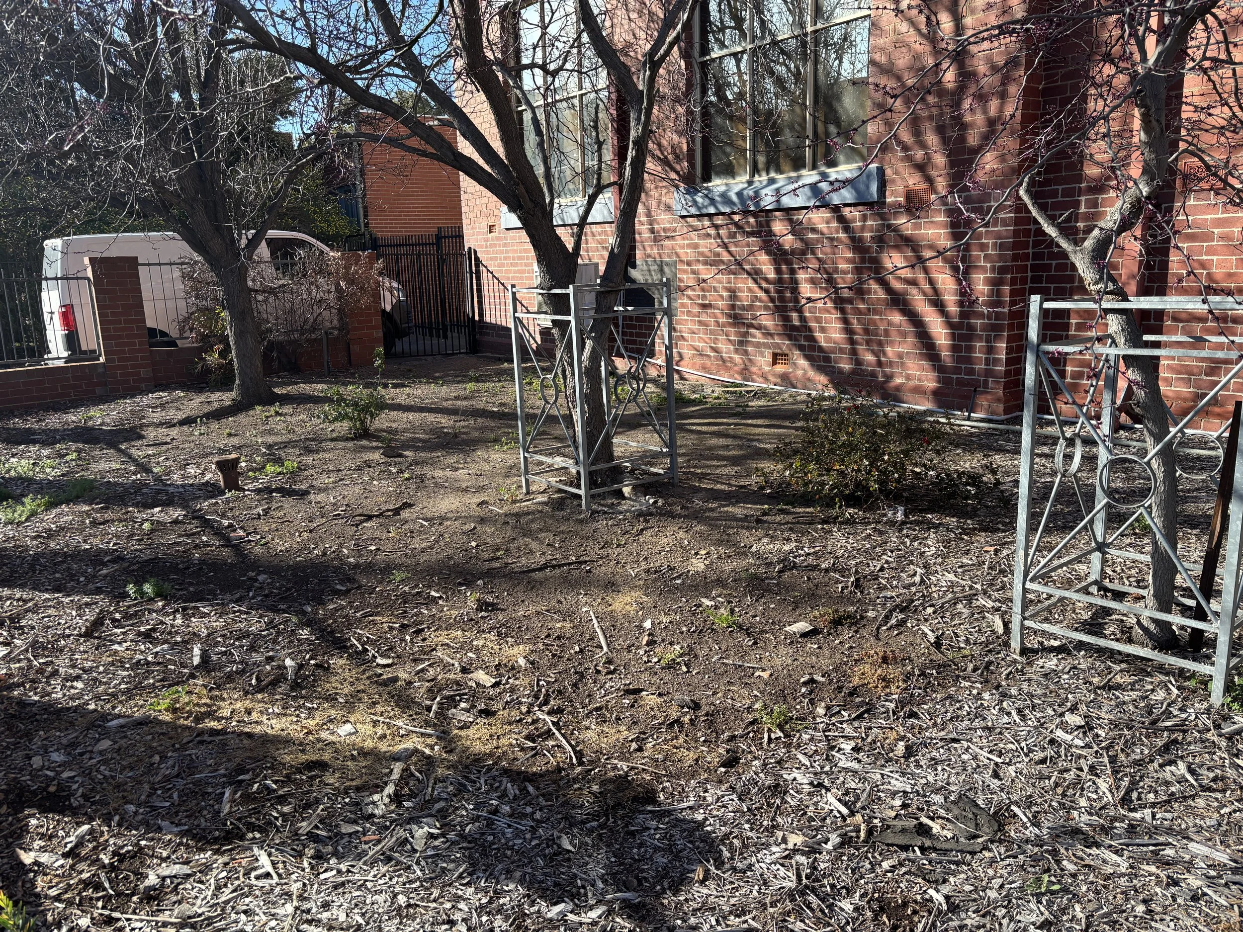 August 2025 - Before: compacted soil, minimal biodiversity, steel caged trees.