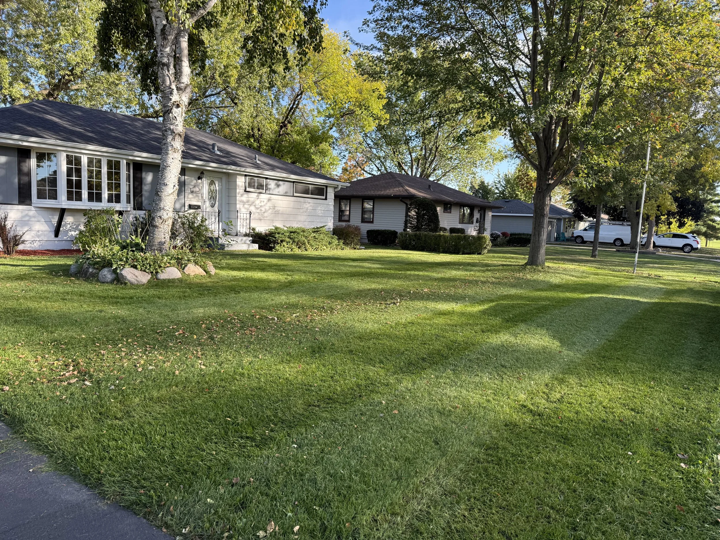 A suburban front yard with well-maintained green grass, a few trees, and houses in the background on a sunny day.