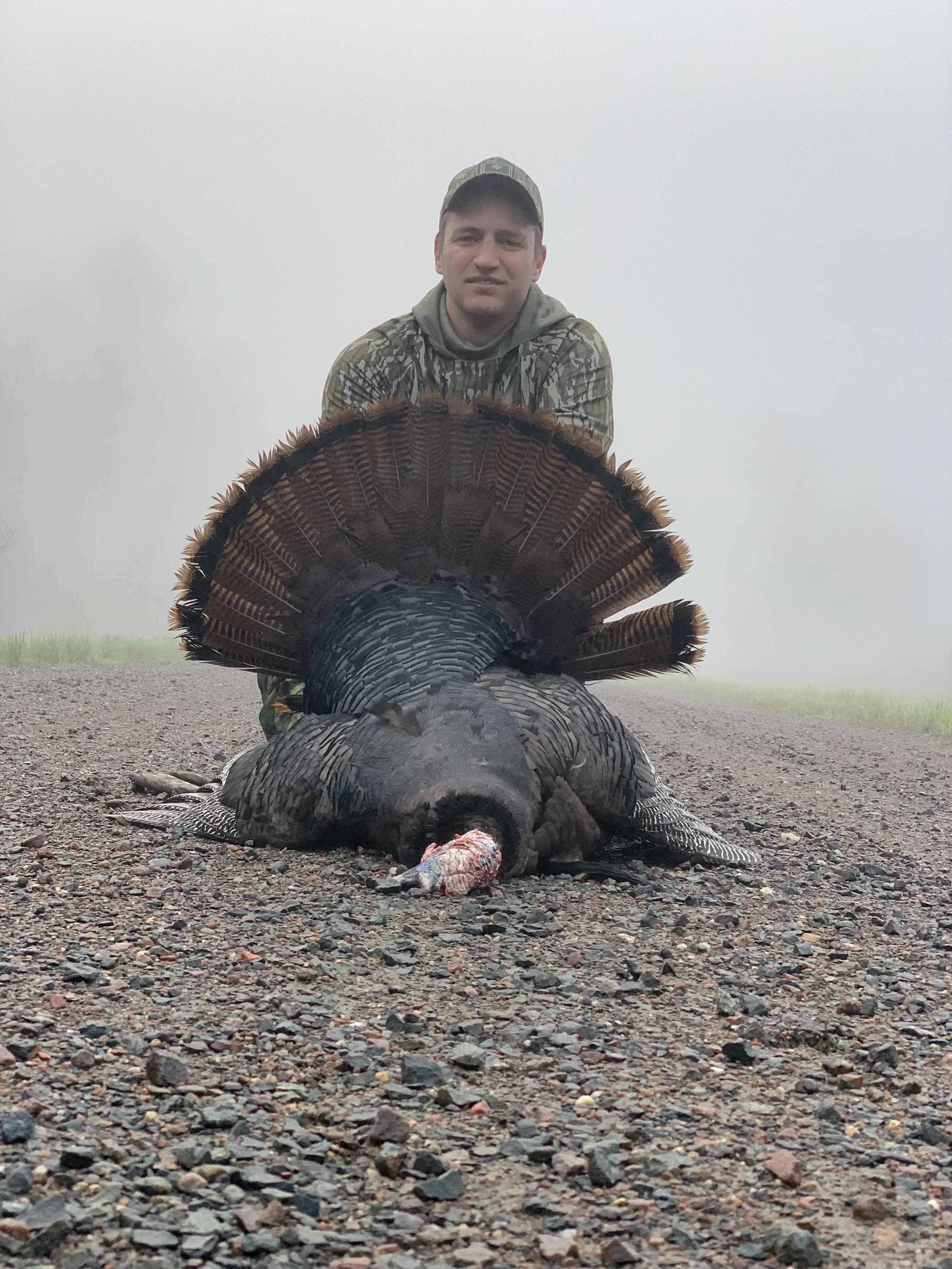 Study the Regulations &amp; Leverage Them