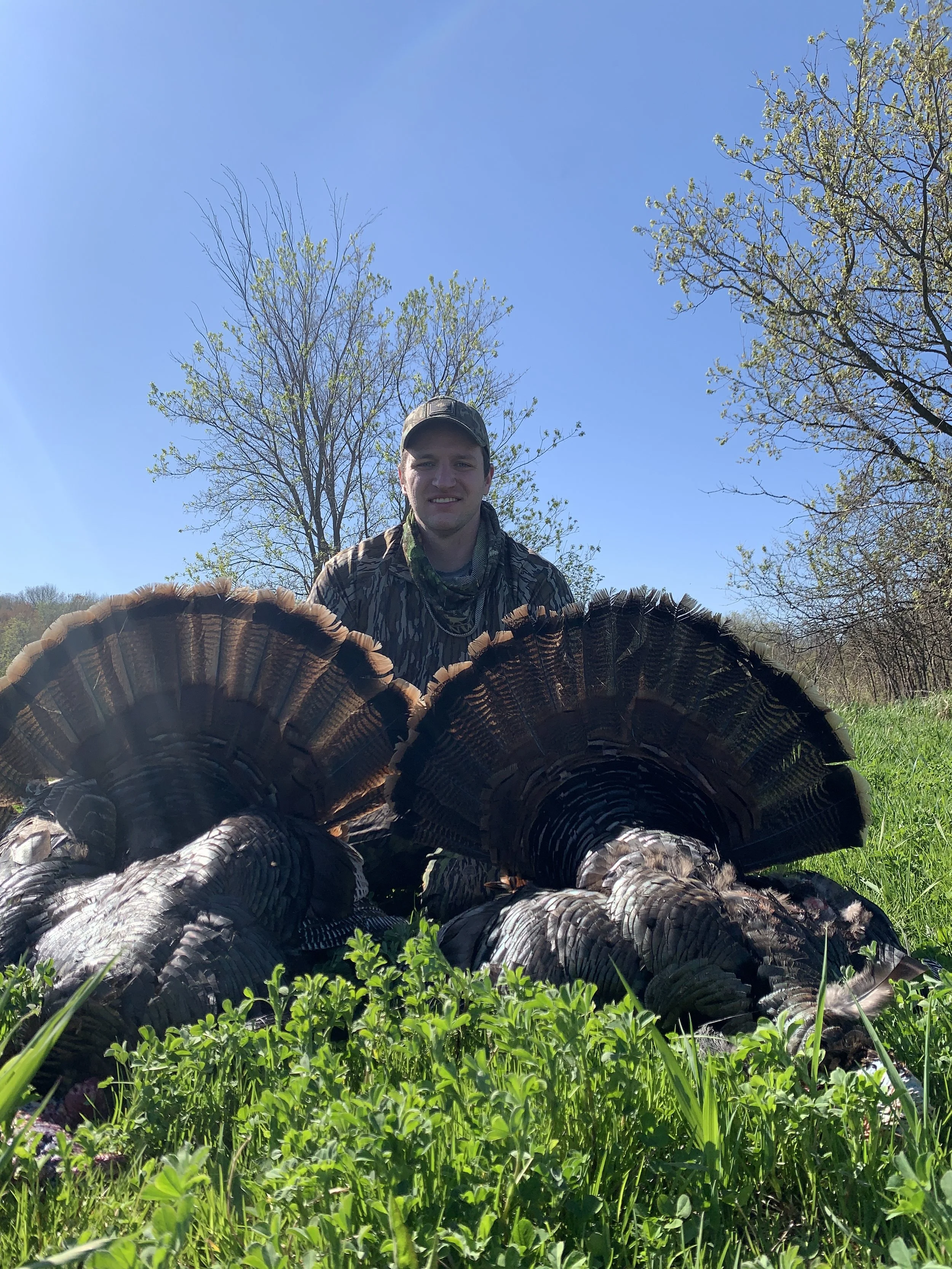 A man in camouflage clothing and a cap kneeling on grass outdoors, posing with a group of wild turkeys with fanned tails, under a clear blue sky with trees in the background.