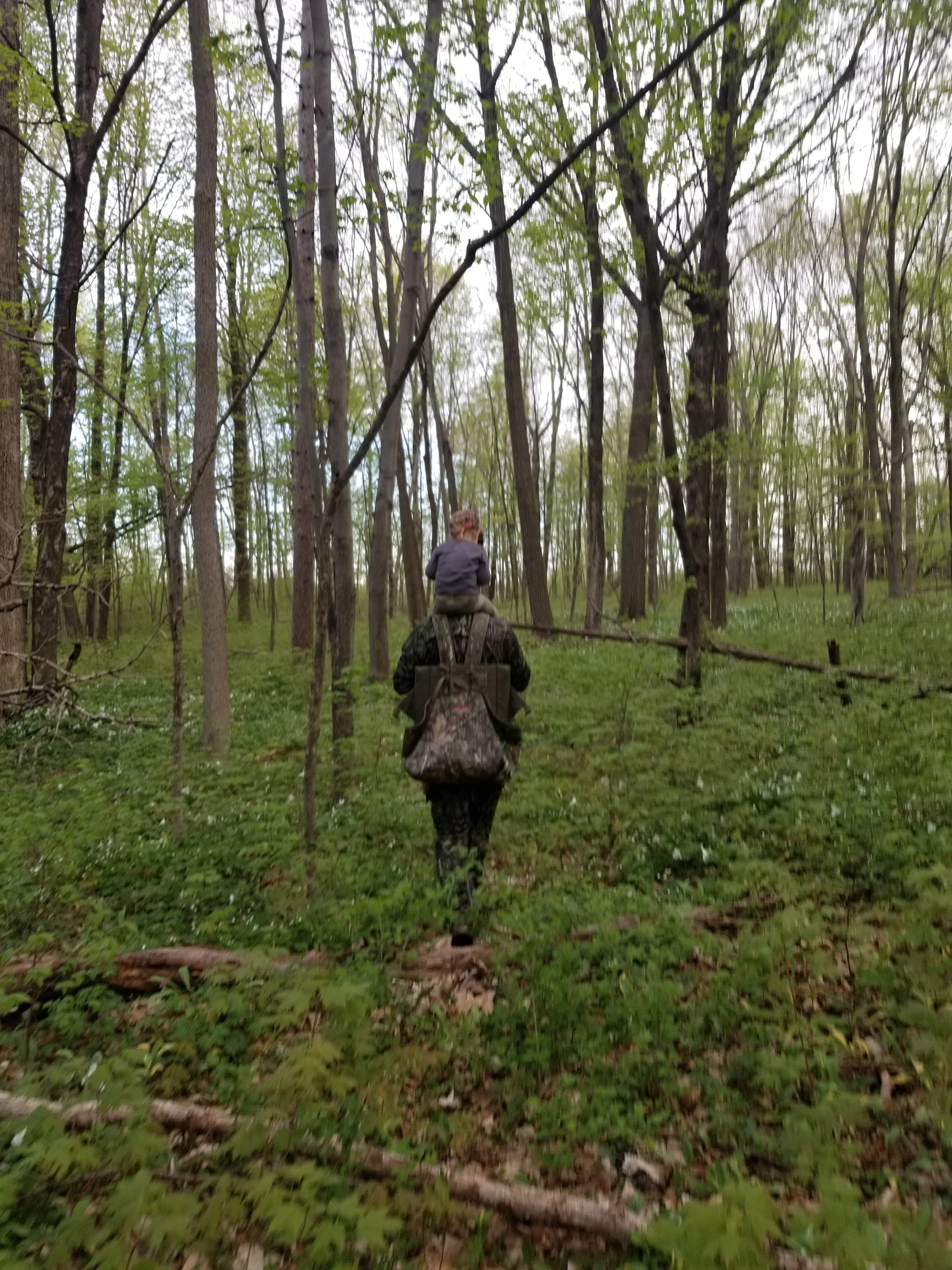 Person walking through a green, wooded forest carrying a backpack with a child sitting on their shoulders.