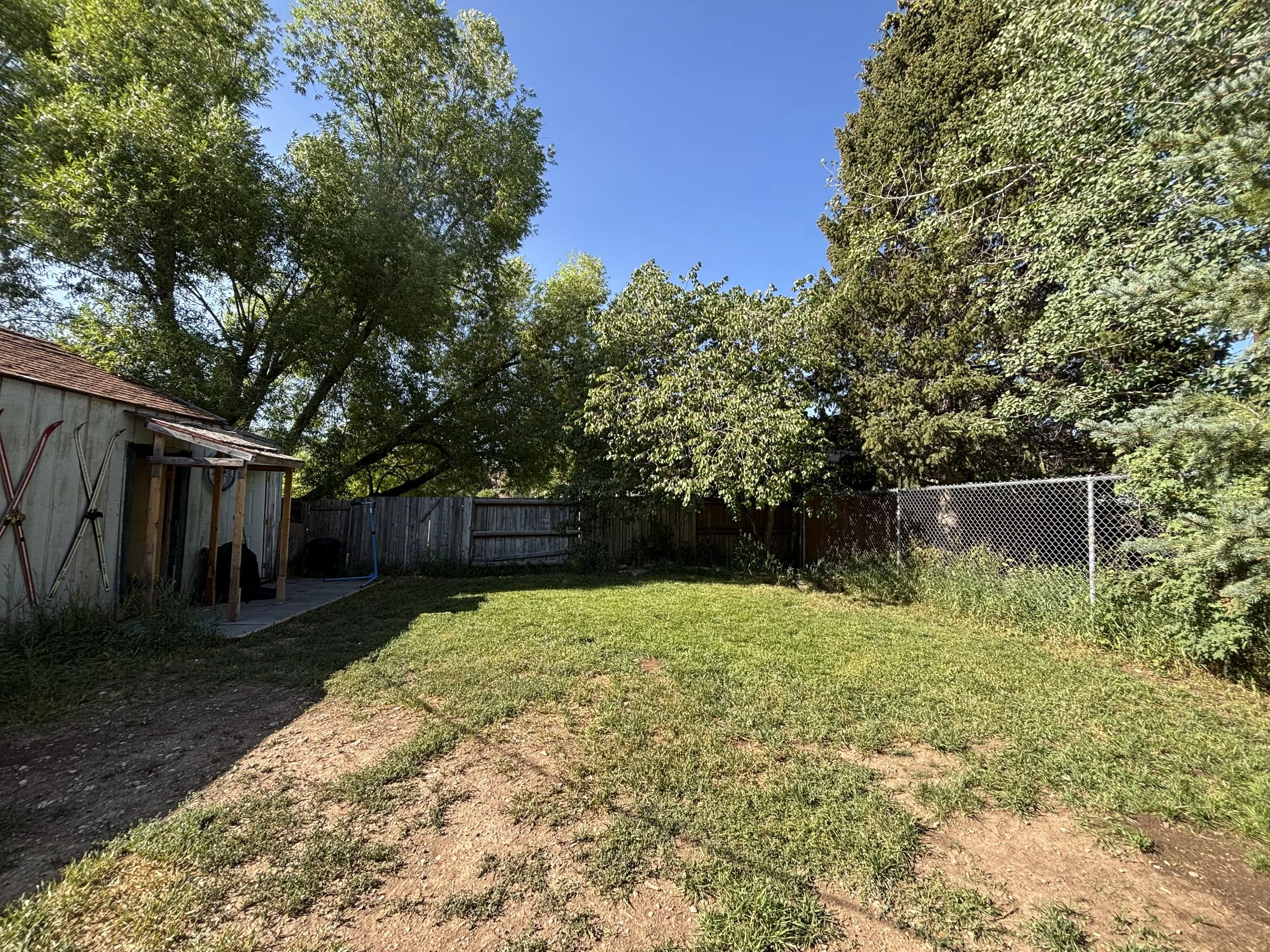 Backyard (north)