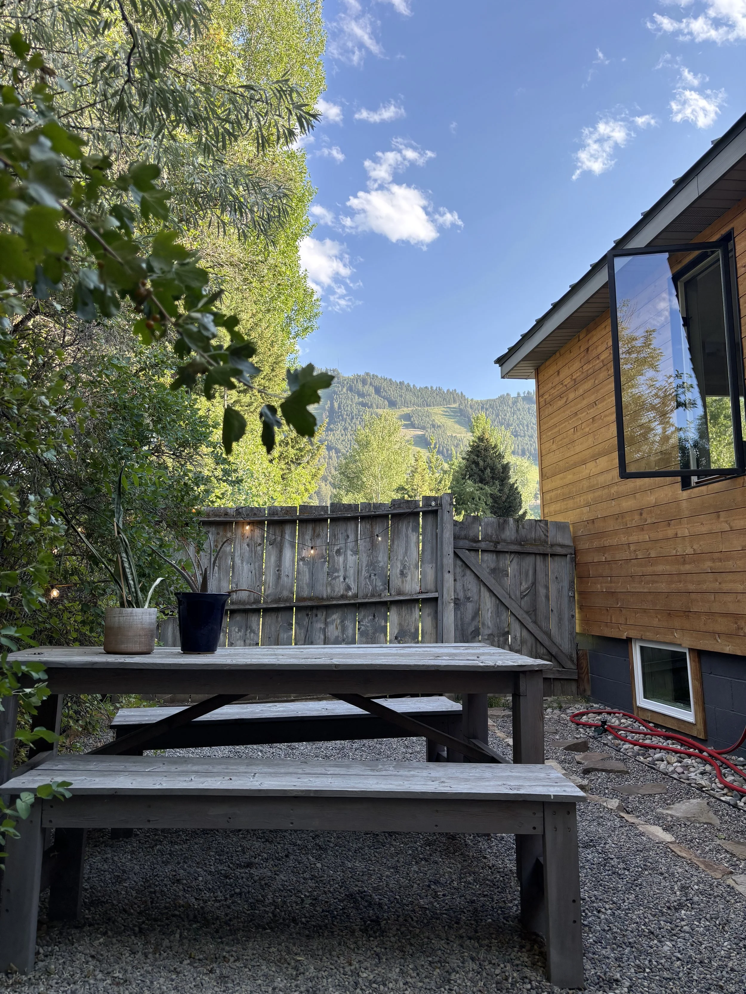 East Sideyard (south facing)